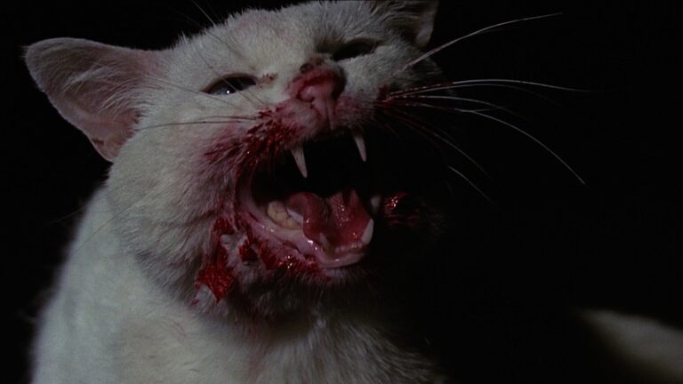 Кадр из фильма «Глаз кота» (1969 год) / © Universal Pictures