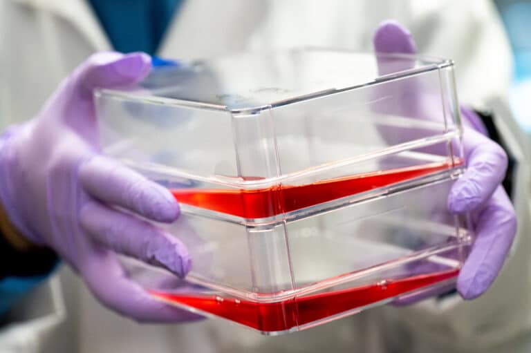 Культуральные флаконы с клетками / © Tufts University