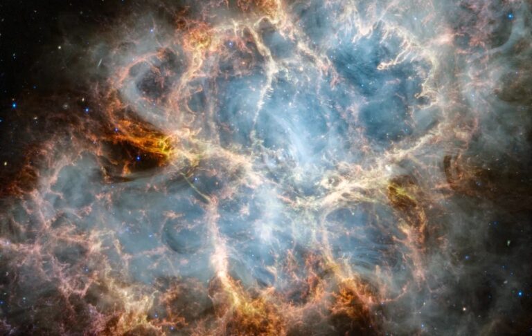 Крабовидная туманность — остаток сверхновой и плерион / © NASA, ESA, CSA, STScl, T Temim, Prinston University