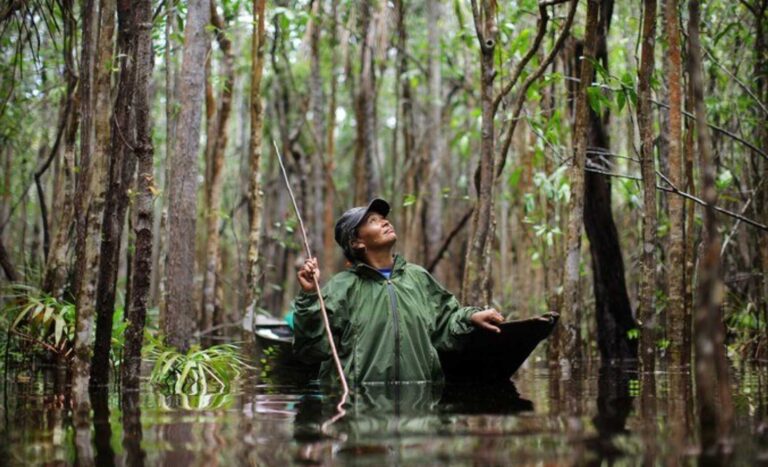 Несмотря на стандартно обещаемые с 1980-х засухи от глобального потепления, Земля озеленяется ударными темпами. Притом с некоторым ускорением / © Wikimedia Commons