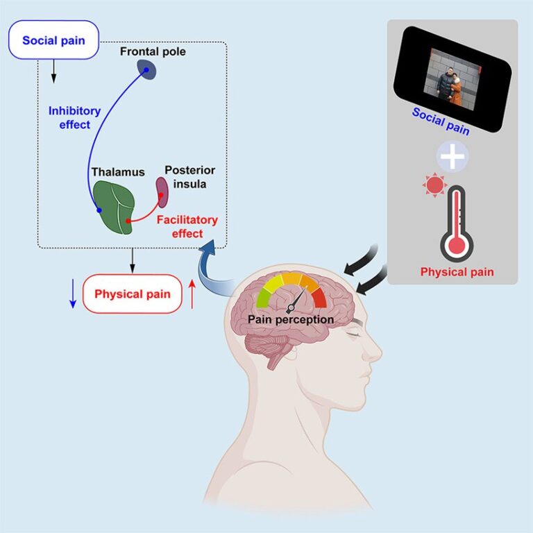 Душевная боль смогла и облегчить, и усилить физическую / © Ming Zhang et al.