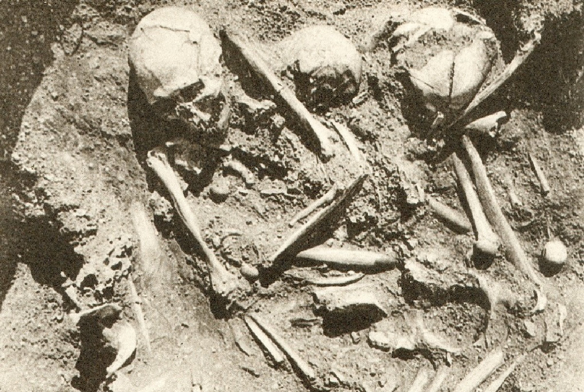 Одно из захоронений на острове Тевьек, раскопки 1929 года / © https://doi.org/10.1073/pnas.2310545121