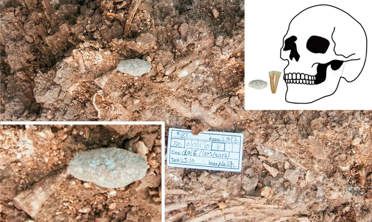 В раннем неолите люди украшали себя примерно так же, как и сегодня / © Ergül Kodaş et al.