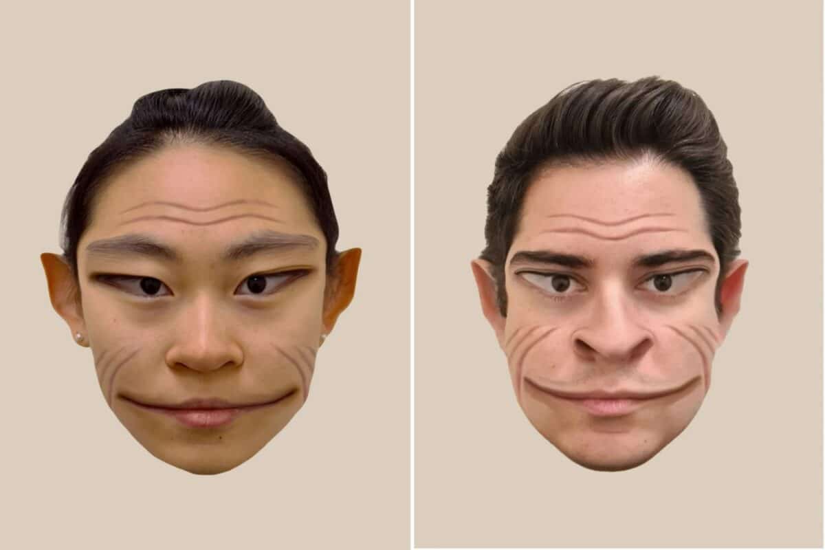 Исследователи визуализировали, как пациент с прозопометаморфопсией воспринимает лица людей / © A. Mello et al.