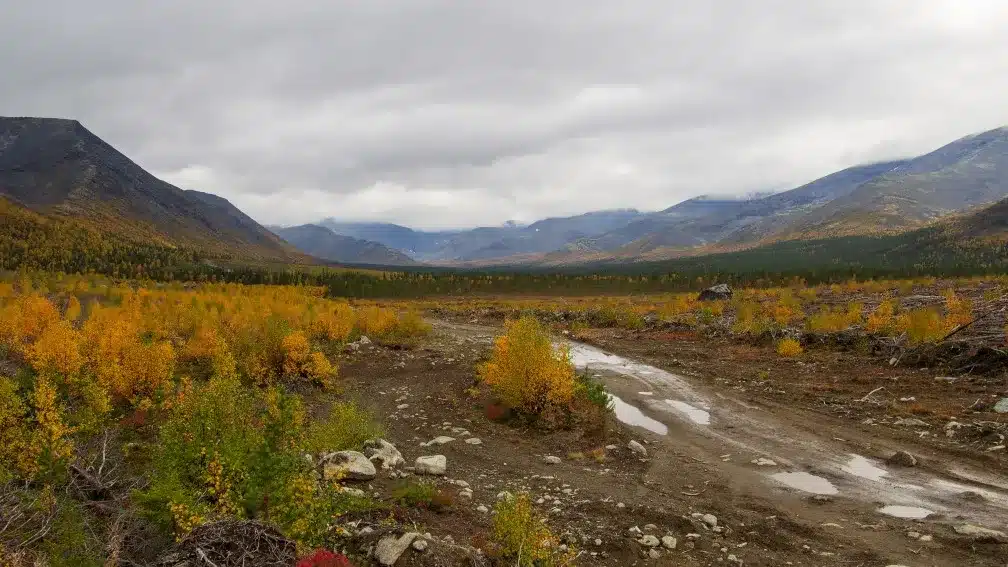 Полуостров Ямал. Глава Института космических исследований РАН Анатолий Петрукович еще в 2021 году в интервью журналу «Русский космос» отмечал, что, согласно спутниковым снимкам, тайга начала наступать на тундру на Ямале. Пока рост новых деревьев невелик, но до конца века они станут значительно выше и чаще / © Wikimedia Commons