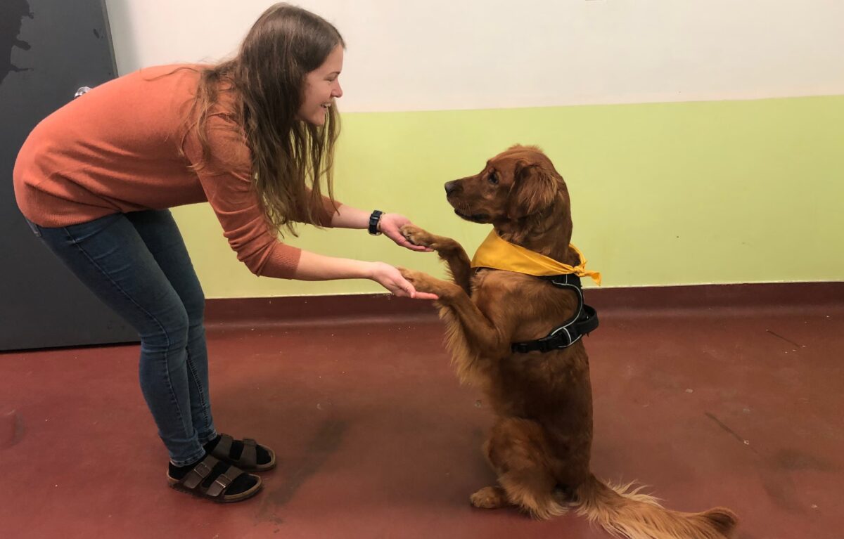 Исследовательница Лаура Киироджа с золотистым ретривером Айви / © Laura Kiiroja / Dalhousie University