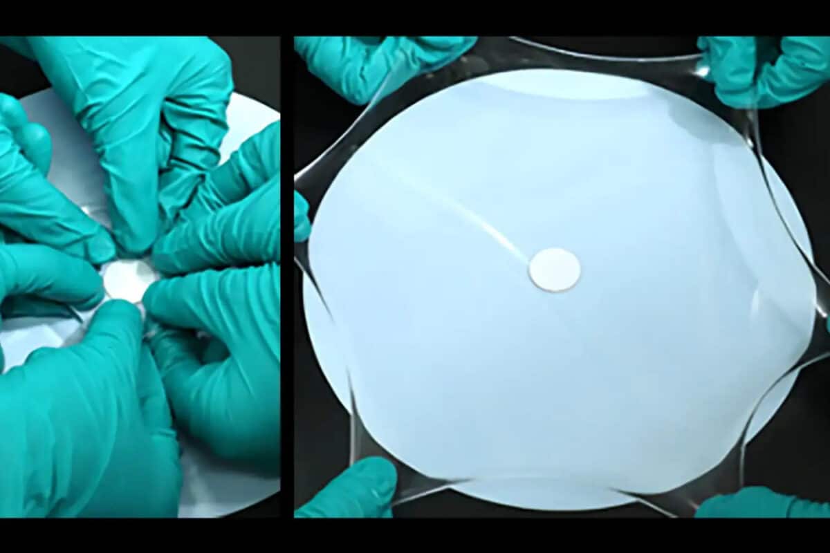 Диск из нового гидрогеля может увеличиваться в объеме в 100 раз / © Lili Chen et al.