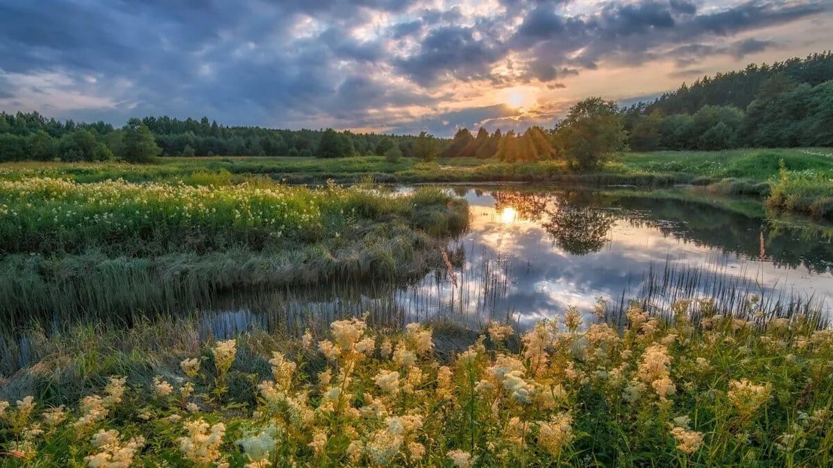 © Wikimedia Commons