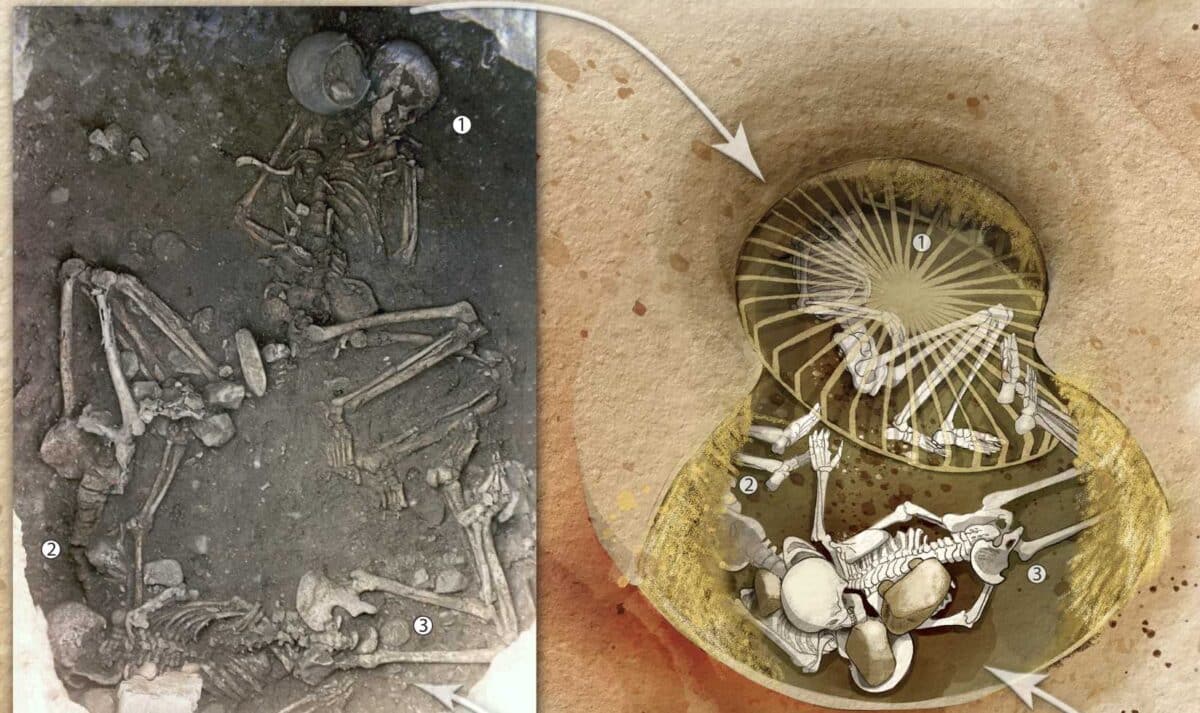 На юго-востоке Франции в довольно обычном неолитическом поселении археологи нашли весьма необычное погребение / © Science Advances, Eric Crubézy et al.