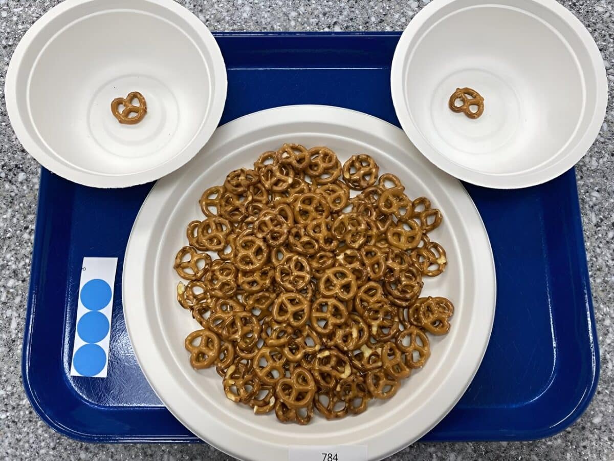 В эксперименте люди ели маленькие крендельки медленнее и меньшими кусочками, что снижало общее количество съеденного / © Madeline Harper / Penn State