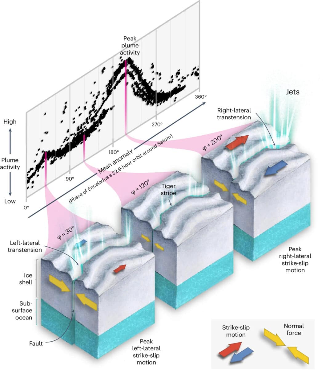 Схема взаимосвязи между импульсами, обусловленными приливами, сдвиговыми движениями и струйной активностью через приливной цикл. Относительно более сильное сжатие вблизи истинной аномалии = 30° уменьшает левостороннее движение по сравнению с правосторонним движением при истинной аномалии = 200°. Возникающая в результате двухвершинная и асимметричная изменчивость сдвигового движения коррелирует с яркостью плюма на Энцеладе. Сдвиговое движение может периодически открывать лево- и правосторонние изгибы (показаны в левом нижнем и правом верхнем блоках коры), позволяя воде подниматься через ледяной панцирь и питать струйную активность вдоль тигровых полос. Графики не соответствуют масштабу / © Nature Geoscience, Alexander Berne et al.