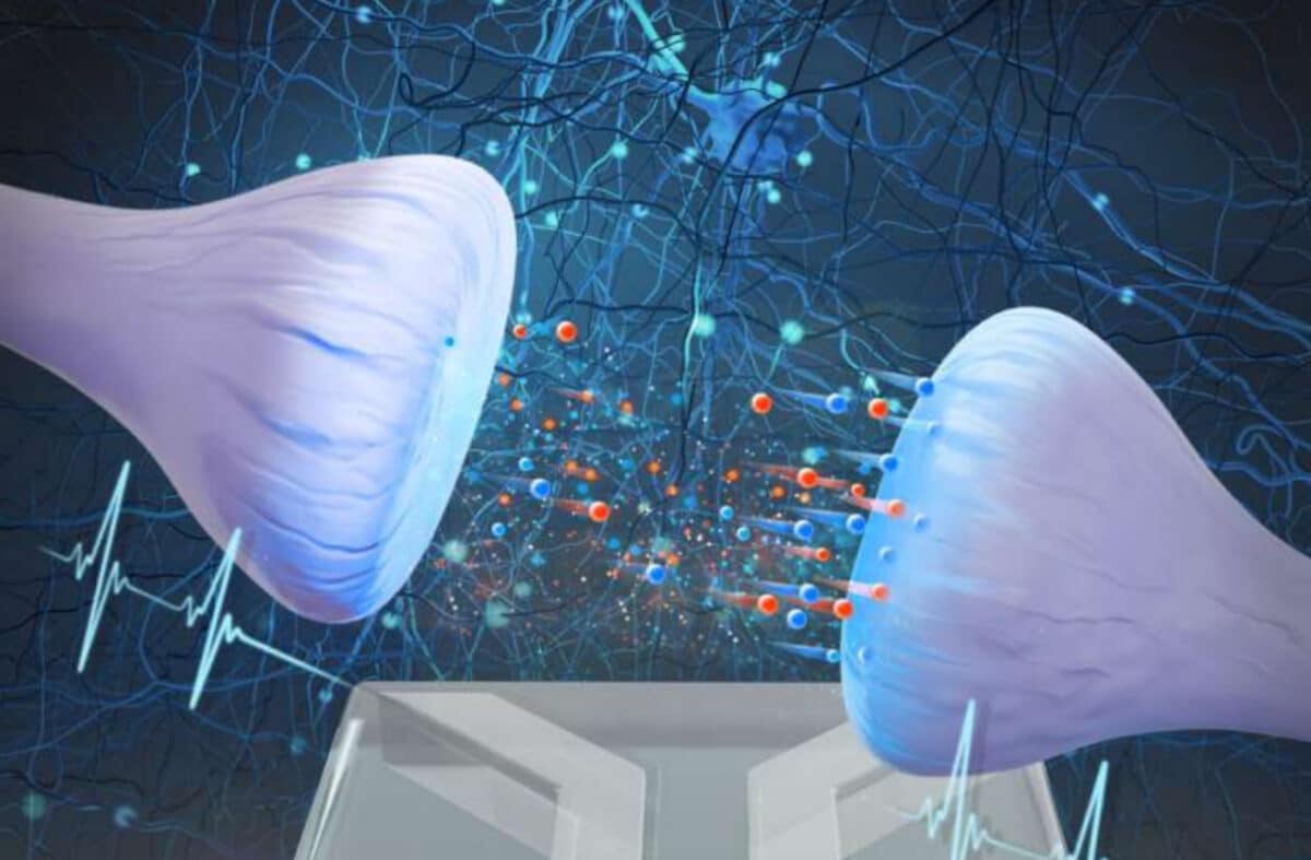 Новый искусственный синапс в представлении художника. Он состоит из микросфер, соединенных между собой канальцами / © Tim M. Kamsma, Utrecht University