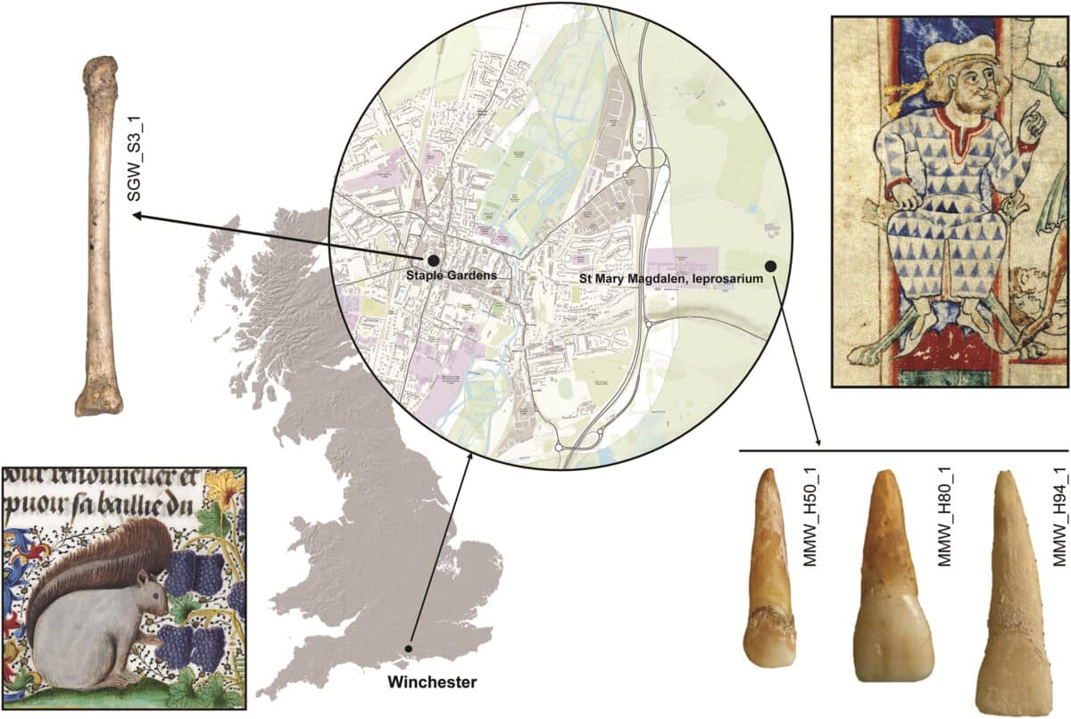 Местонахождение лепрозория Святой Марии Магдалены и район Стейпл-Гарденс (там давно работали скорняки и портные) в Винчестере (центральный круг), на территории Великобритании / © Current Biology, Christian Urban.