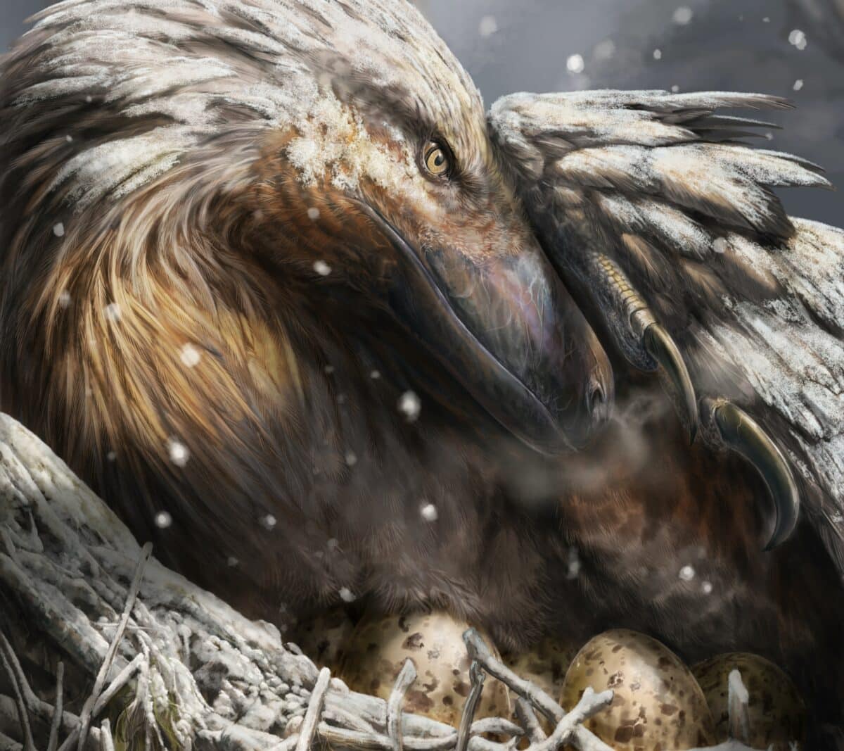 Дромеозавр, разновидность пернатого теропода, в представлении художника / © Davide Bonadonna, Universidade de Vigo, UCL