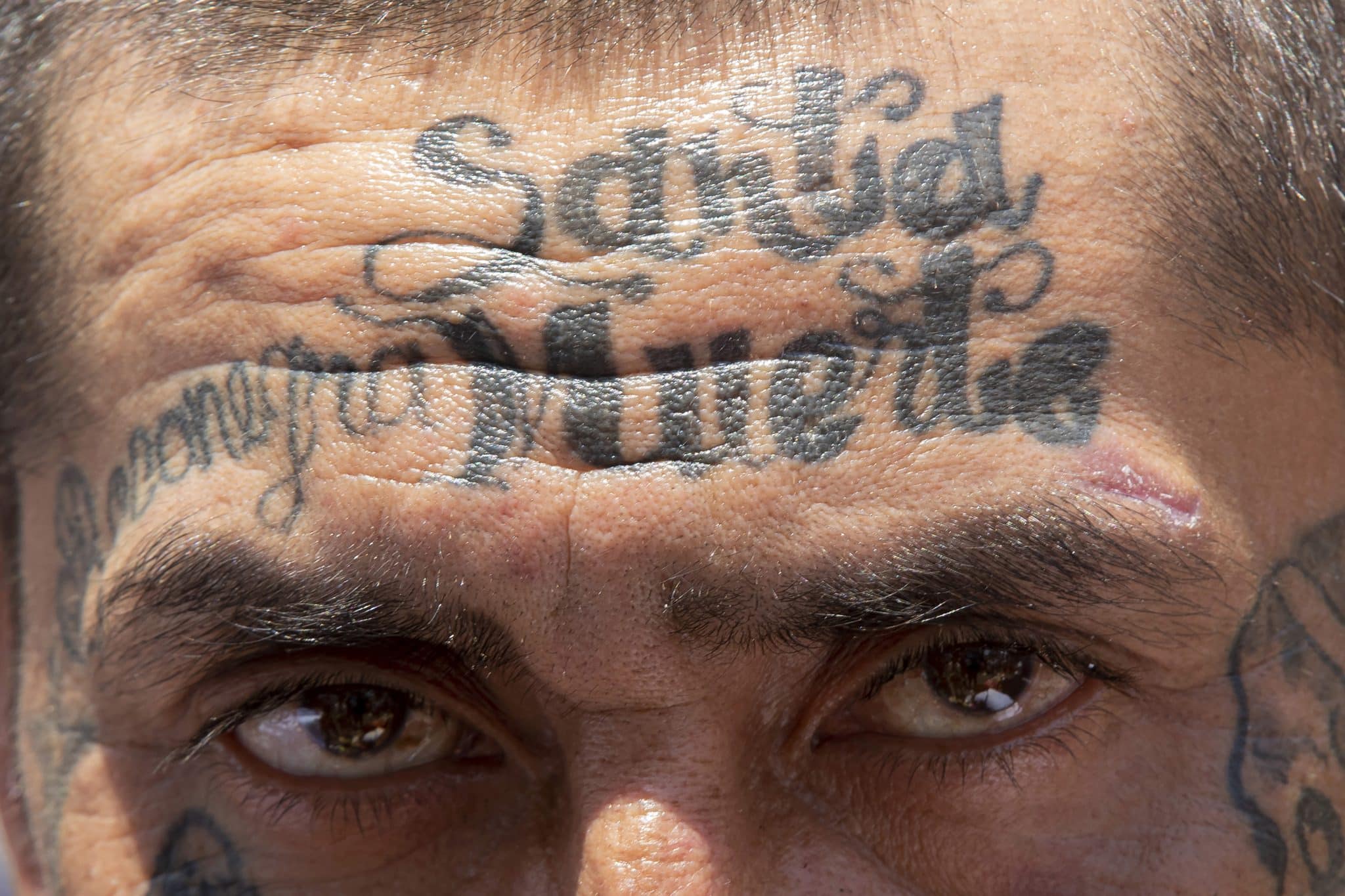 © Ricardo Flores, Keystone Press Agency