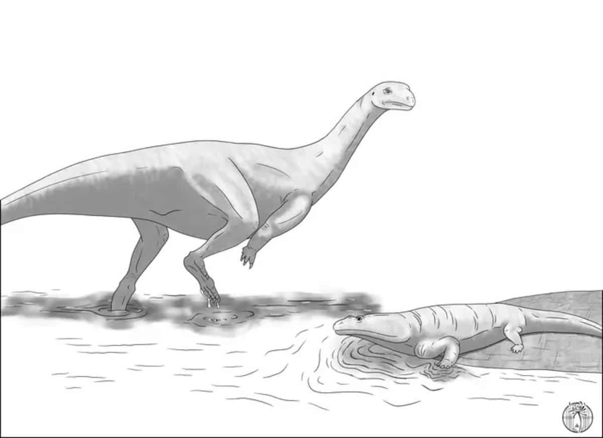 Художественная реконструкция Musankwa sanyatiensis, идущего по триасовому мелководью мимо метопозавра / © EurekAlert!, Atashni Moopen.