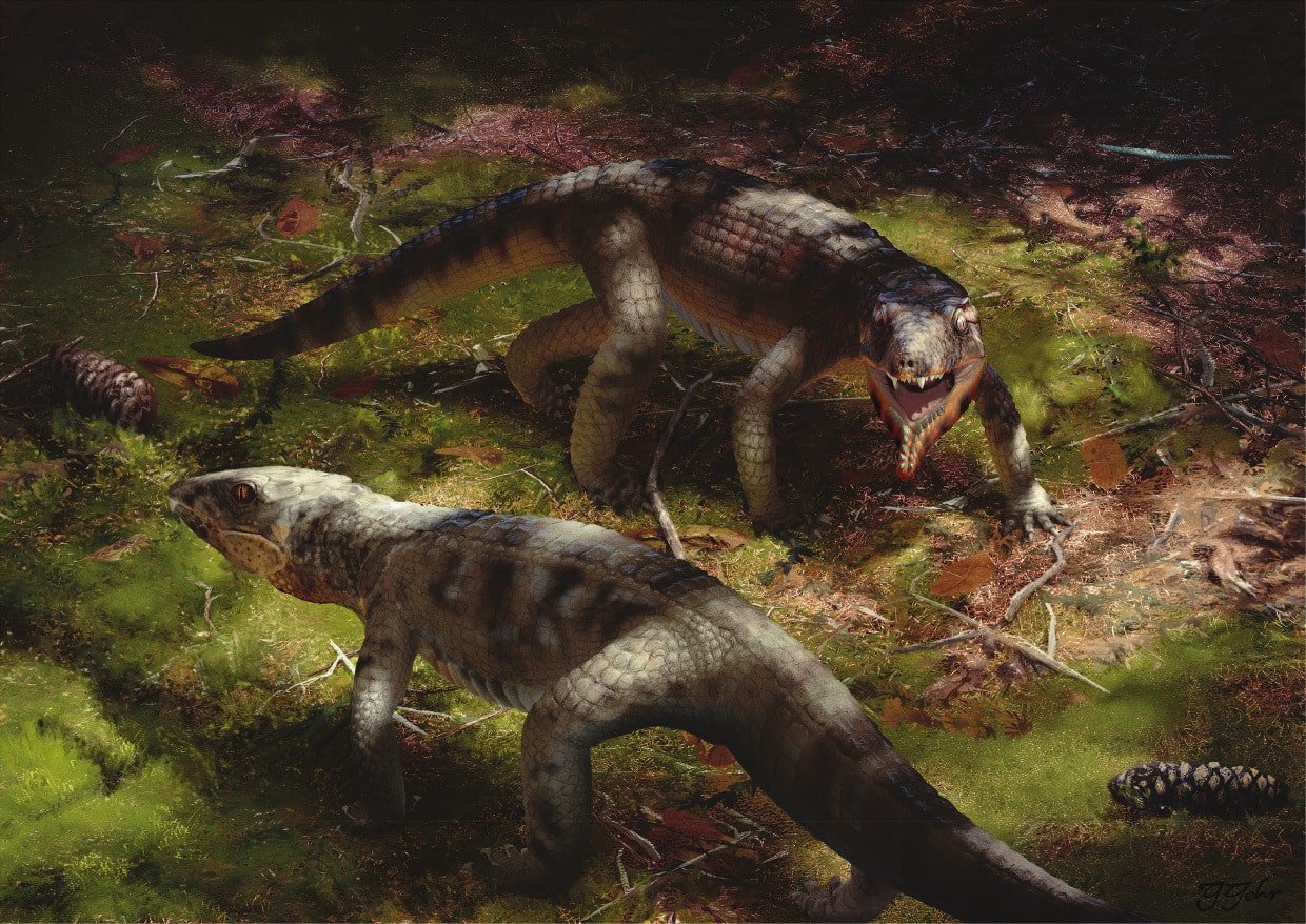 Реконструкция жизни сфагезаврида Caipirasuchus catanduvensis от Guilherme Gehr / © Historical Biology, Fabiano V. Iori et al.