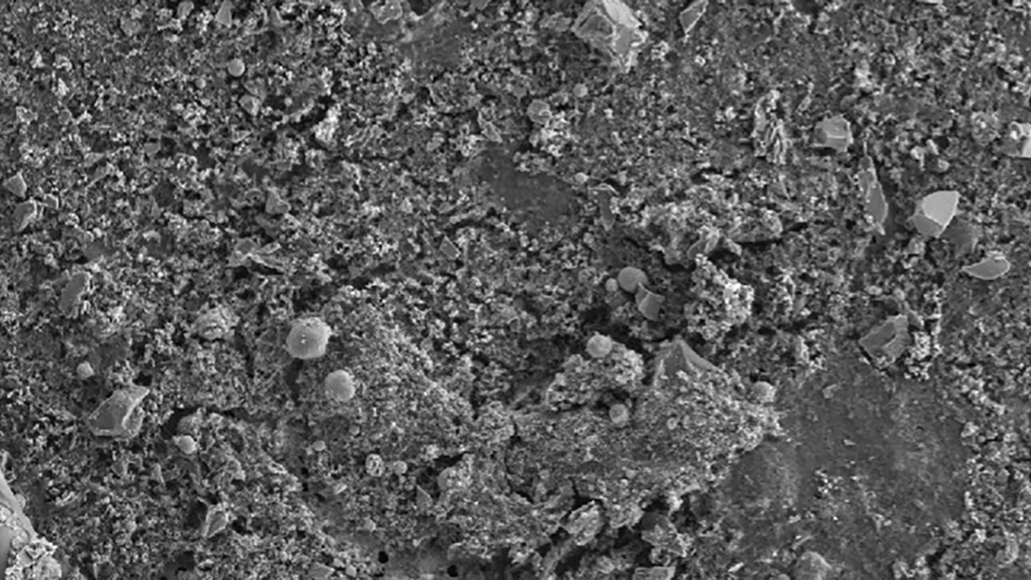 Полученный с помощью электронного микроскопа снимок частиц микропластика в тканях полового члена / © International Journal of Impotence Research, Codrington, J., Varnum, A.A., Hildebrandt, L. et al.