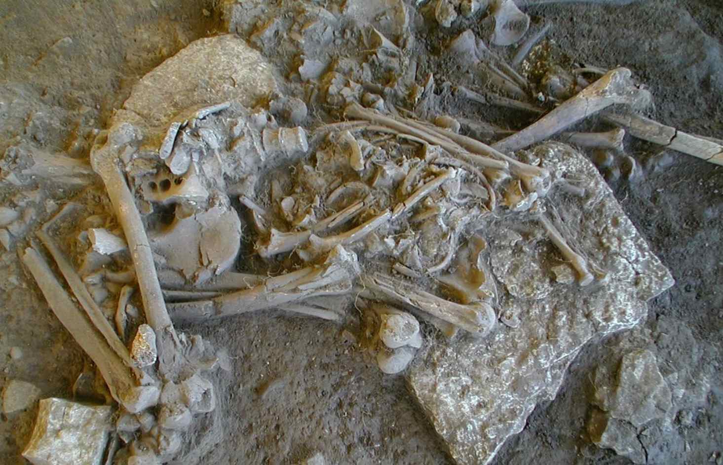 Авторы новой работы получили образцы ДНК 108 человек, похороненных в мегалитических гробницах Скандинавии / © Karl-Göran Sjögren, Nature