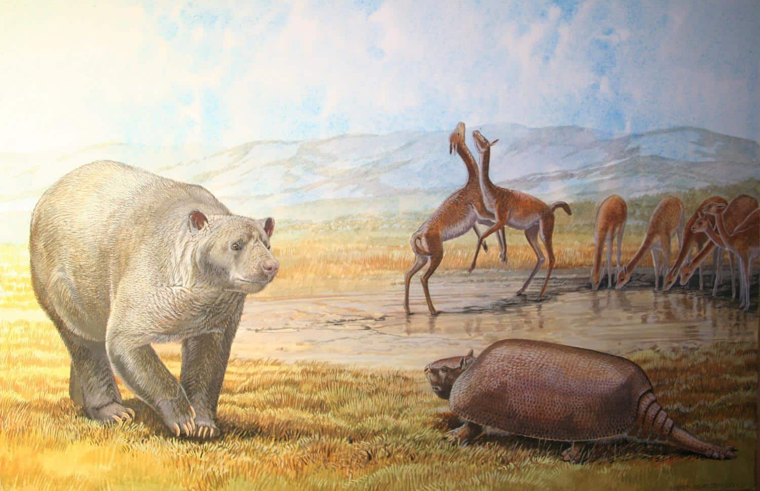 Южная Америка в ледниковые период. На переднем плане актортерий (громадный плоскомордый медведь) проходит мимо гигантского броненосца, подобного тому, который разделывали древние люди, заселившие Южную Америку / © Peter Schouten