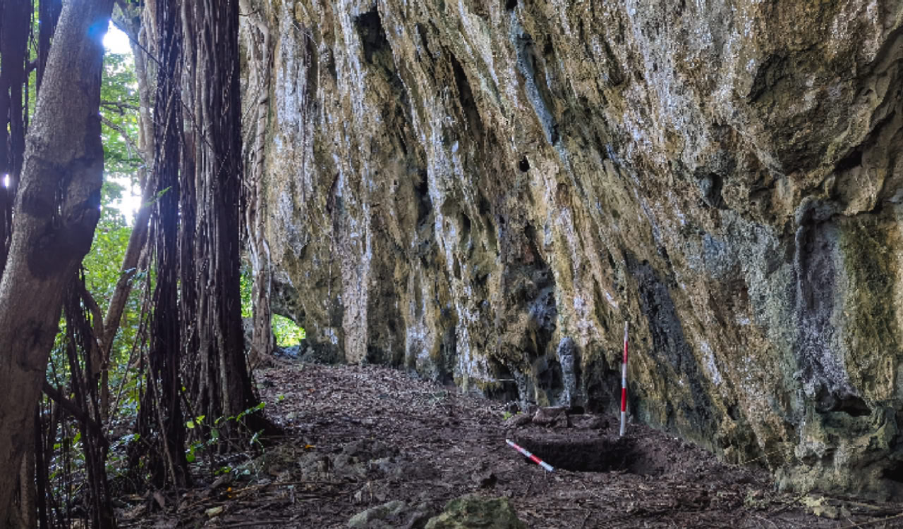 Скальный навес Эливаван на острове Фордата, острова Танимбара / © Hendri A.F. Kaharudin et al.