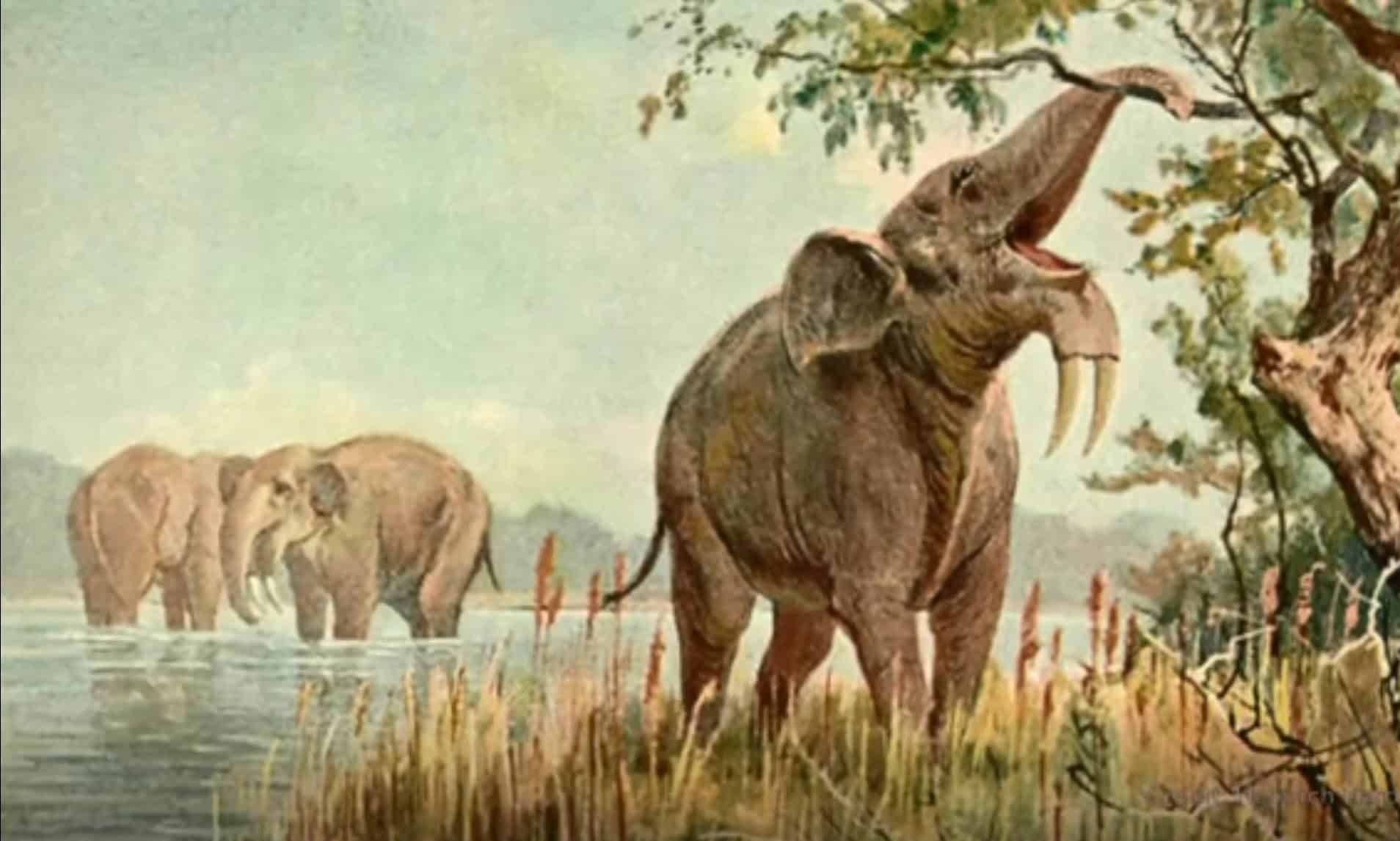 Представитель вымершего рода  Deinotherium. Изображение художника.  Эти животные достигали в высоту 3,5—4,5 метра и весили до14 тонн / © Alamy, Florilegius,​ Heinrich Harder