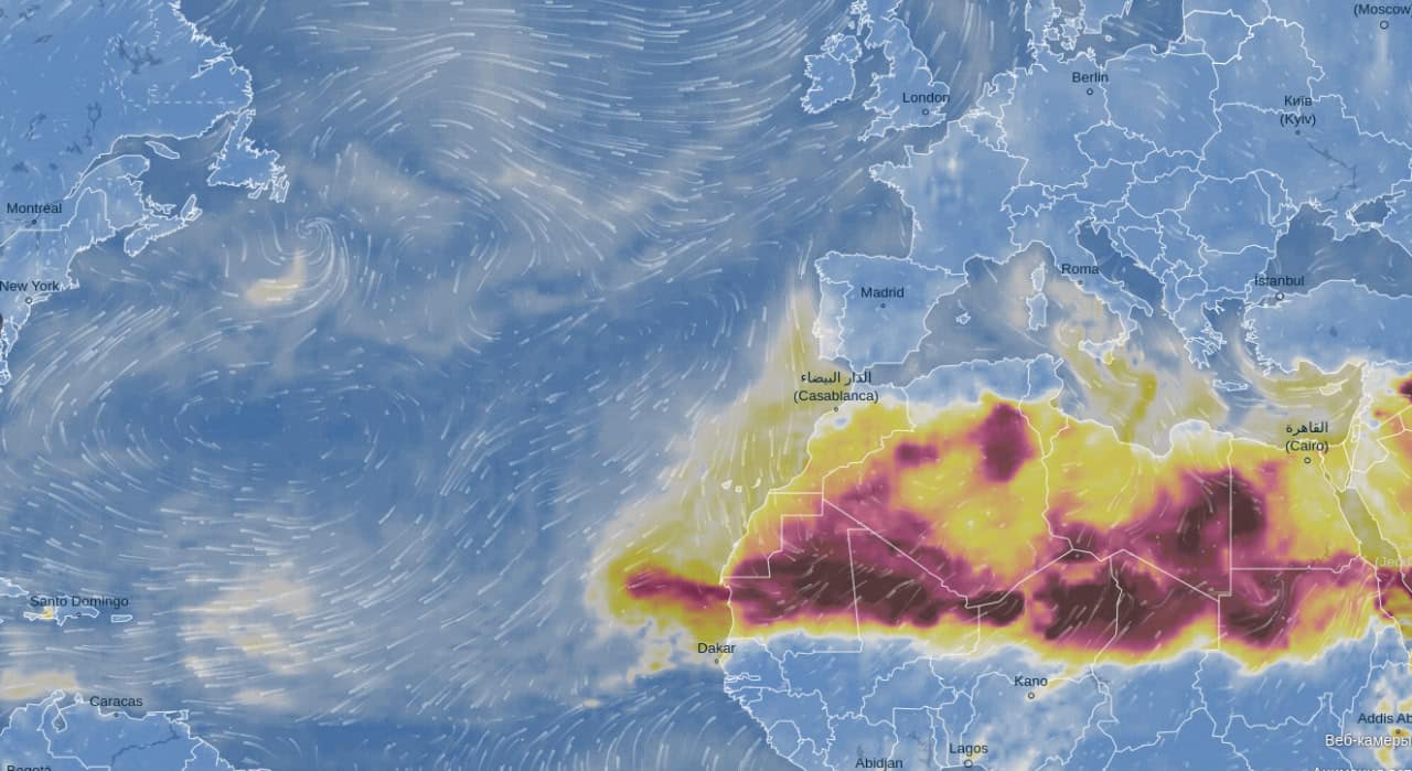 Распределение пыли с диаметром от 10,0 до 2,5 микрометров в воздухе над Сахарой и Атлантикой, июль 2024 года / © Ventusky