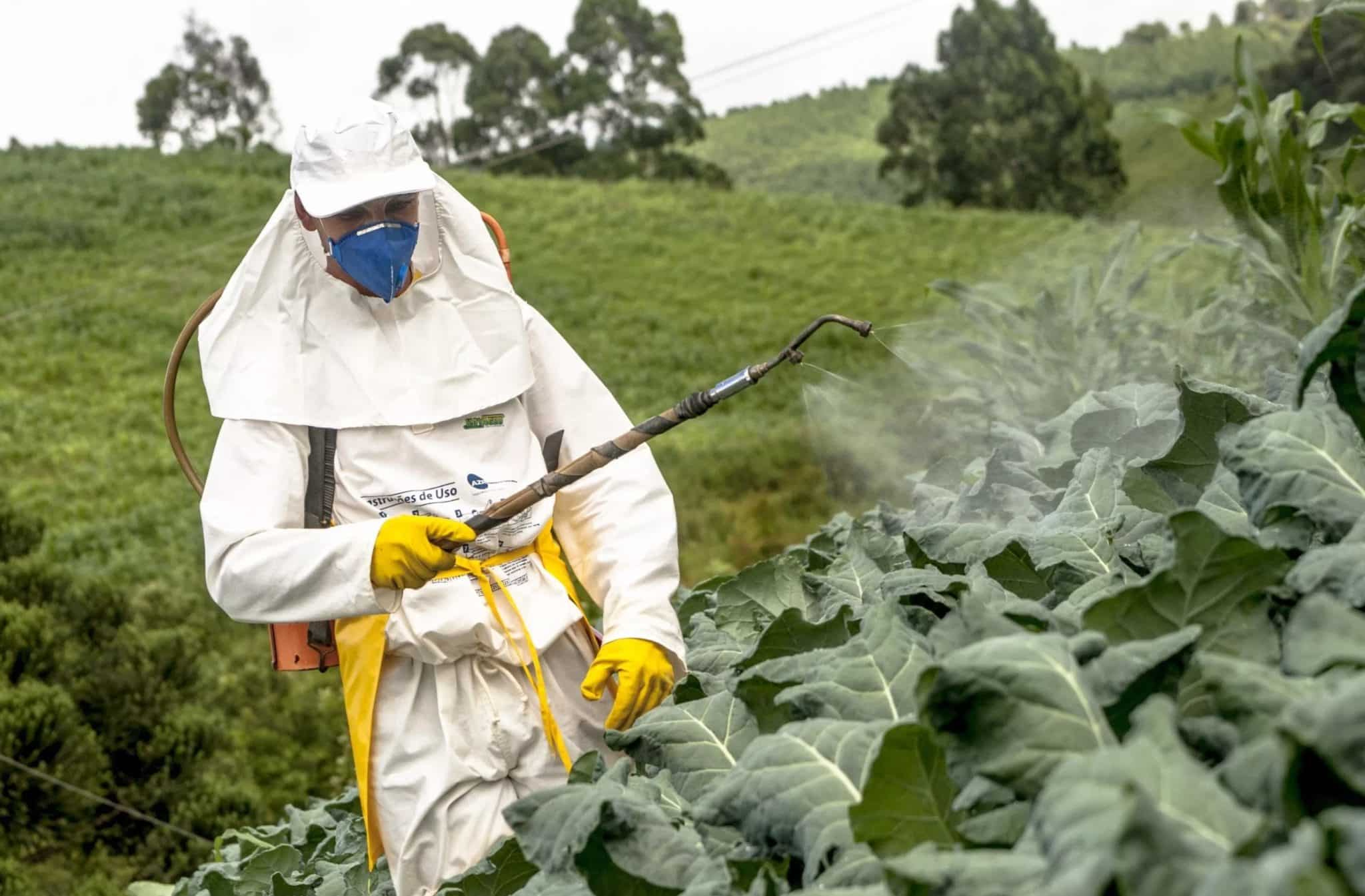 Пестициды увеличили риск рака до того же уровня, что и курение / © Alf Ribeiro, Shutterstock
