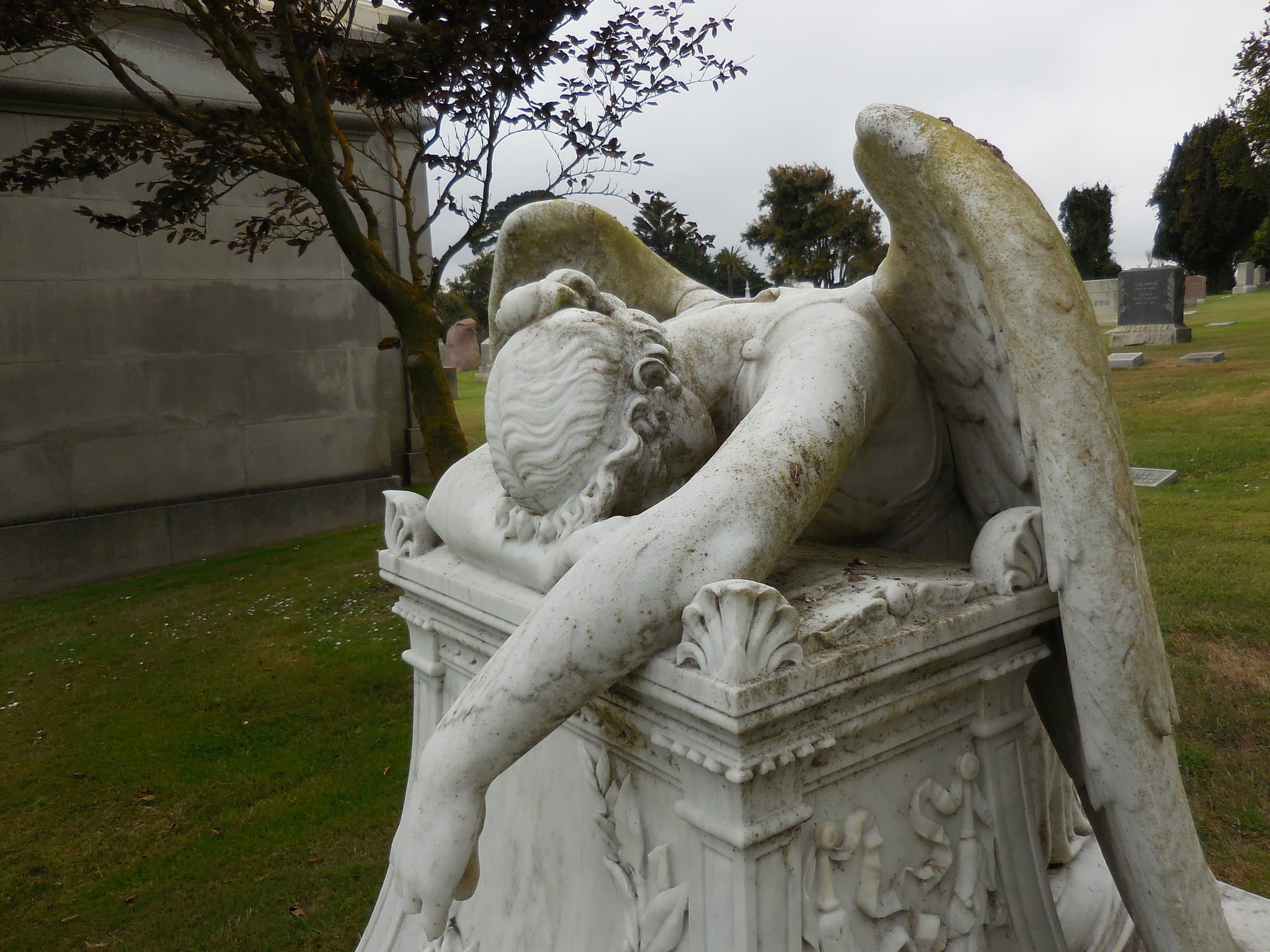 Горе от потери / © Cathy Baird/Flickr