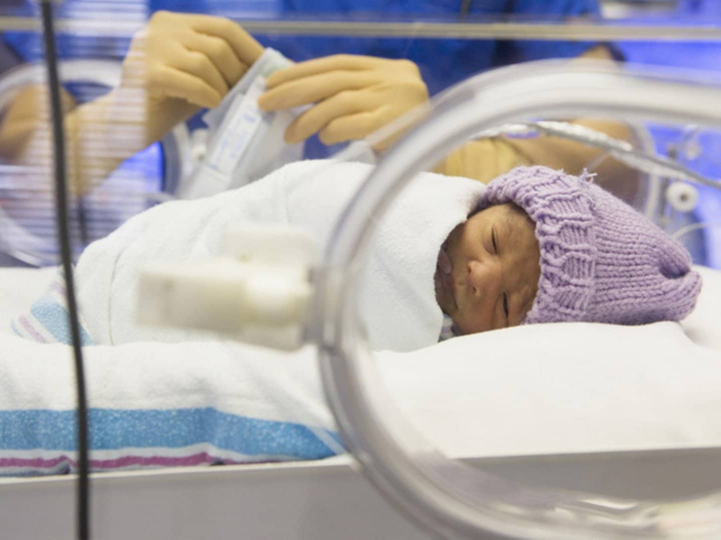 Дети, родившиеся раньше срока, не всегда отстают от сверстников в когнитивном развитии / © Alexandre Moraes, Shutterstock