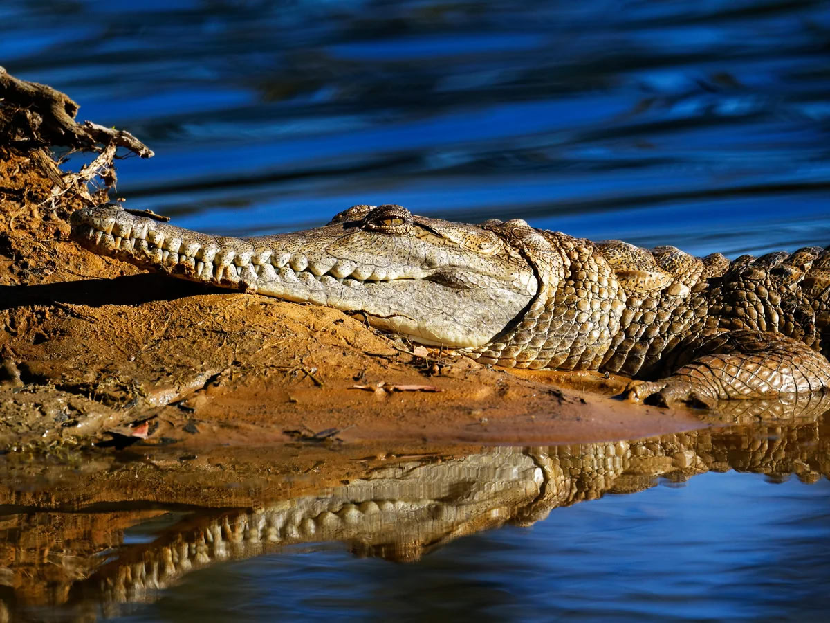 © Paul Mayall, Alamy