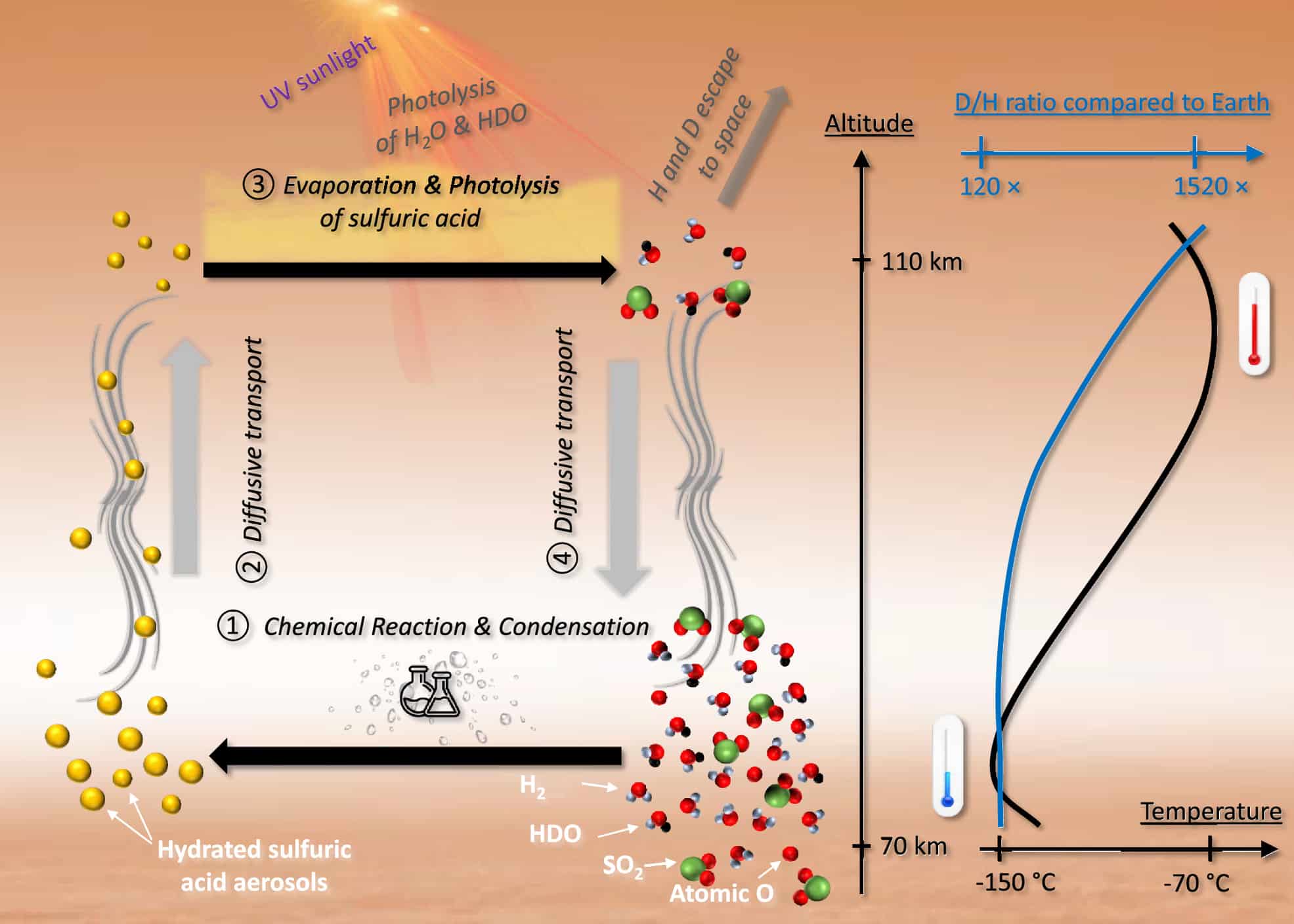 Схема предложенного мезосферного водного цикла Венеры / © Proceedings of the National Academy of Sciences (2024)