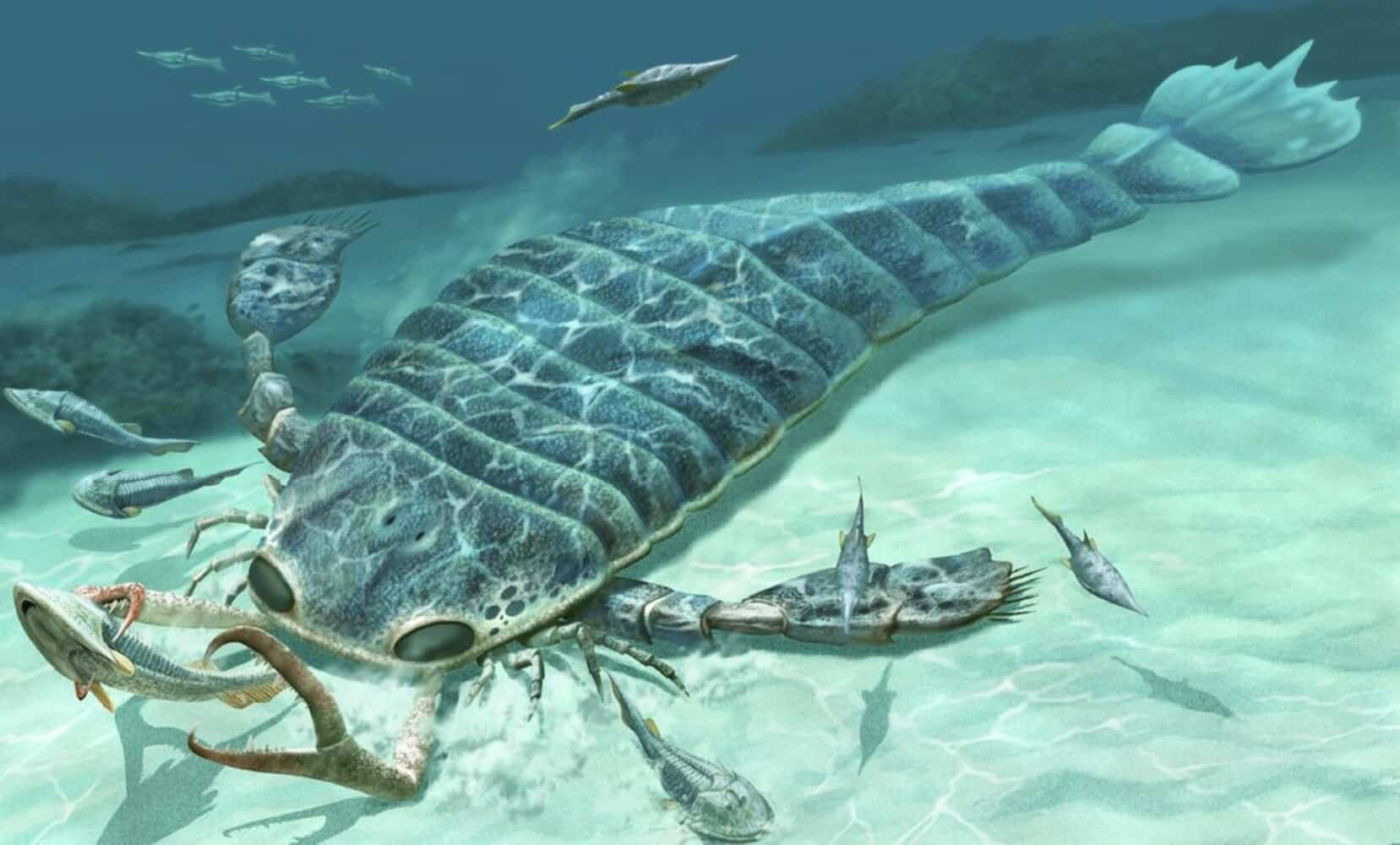 Реконструкция внешнего вида ракоскорпиона Jaekelopterus rhenaniae / © Science Source, Ja Chirinos