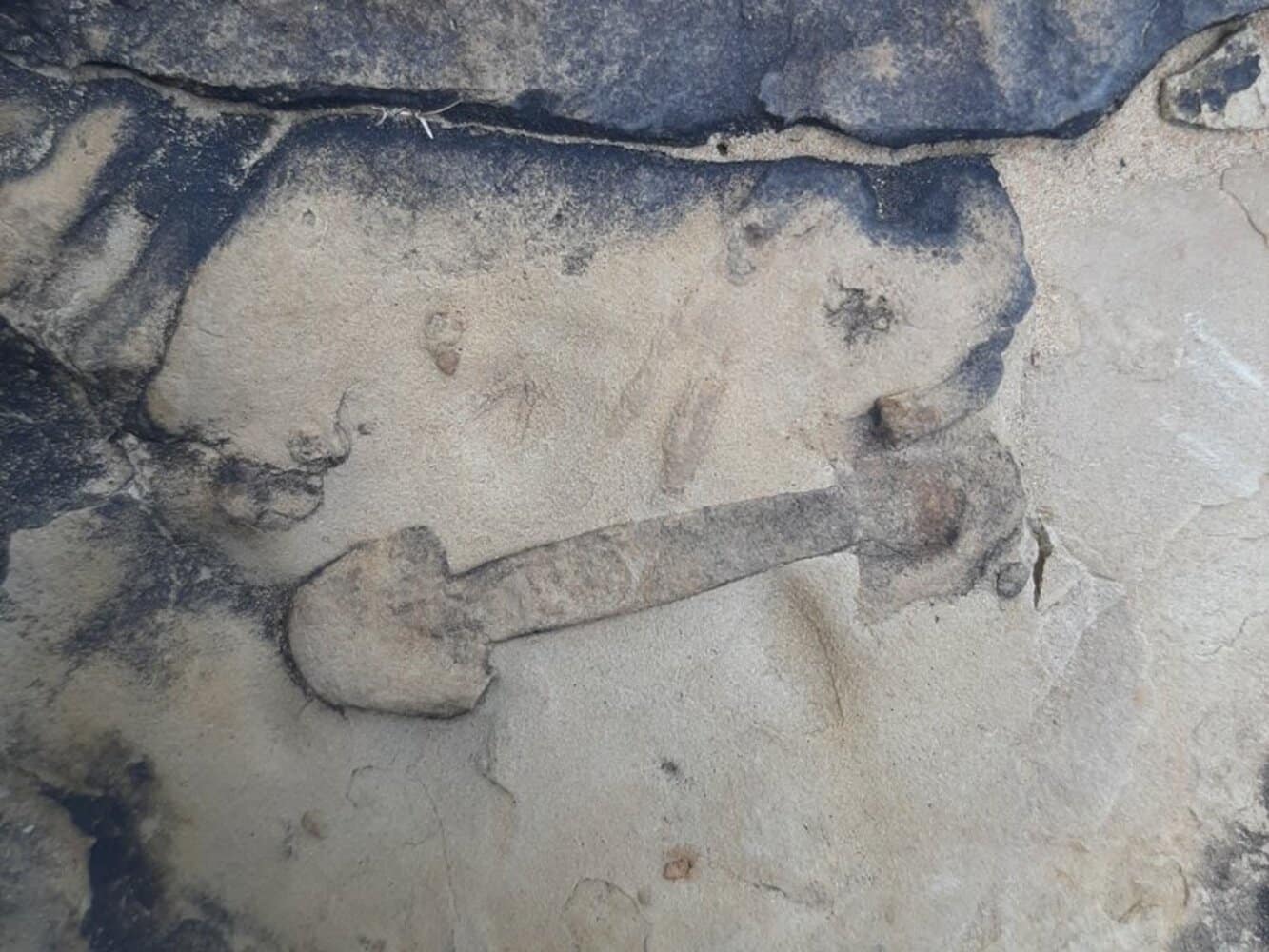 Гантелеобразные ихнофоссилии-бифунгиты создали черви Annulitubus sp. / © sciencedirect.com, D. Sedorko