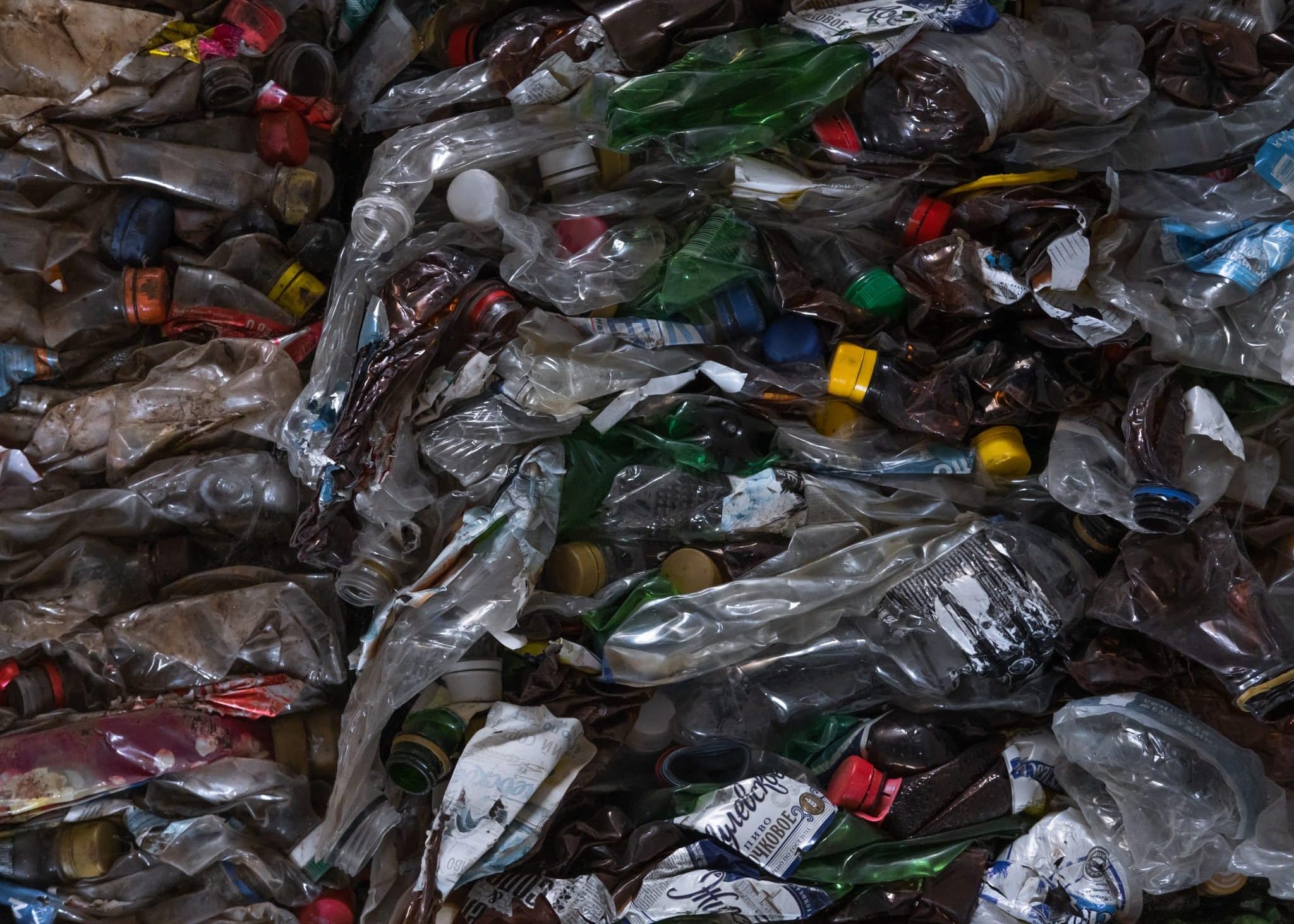 © Российский Экологический Оператор