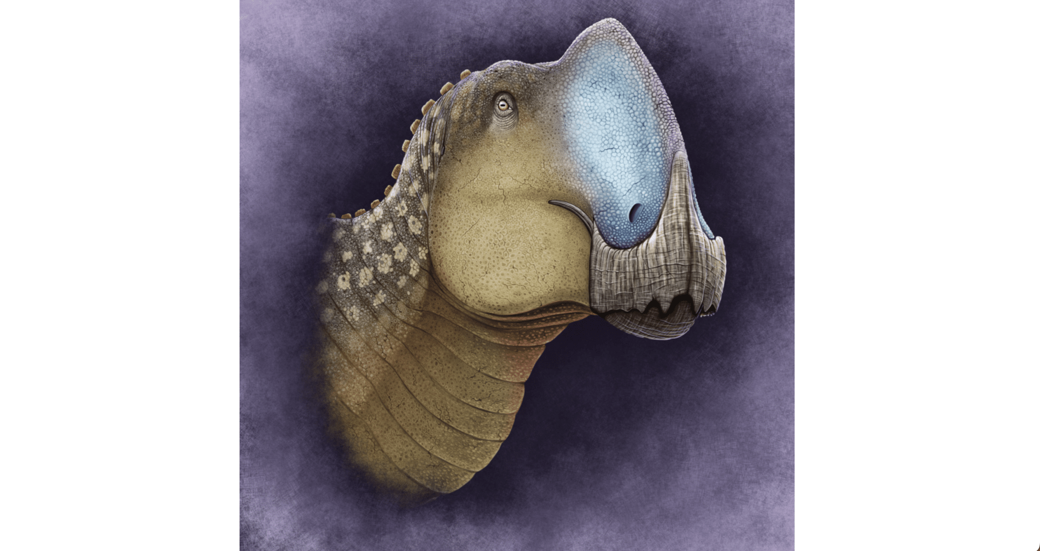 Реконструкция ранее неизвестного вида утконосых динозавров Coahuilasaurus lipani / © C. Díaz Frías