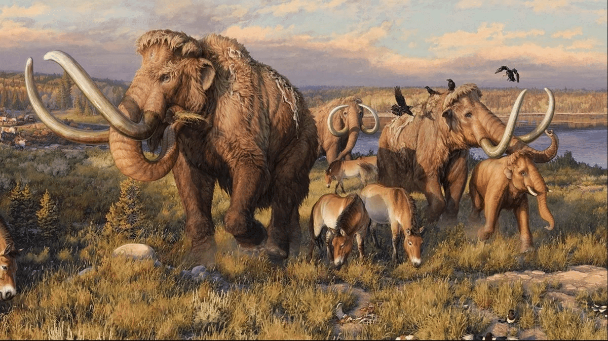 Мегафауна ледникового периода / © Beth Zaiken, Blue Rhino Studio