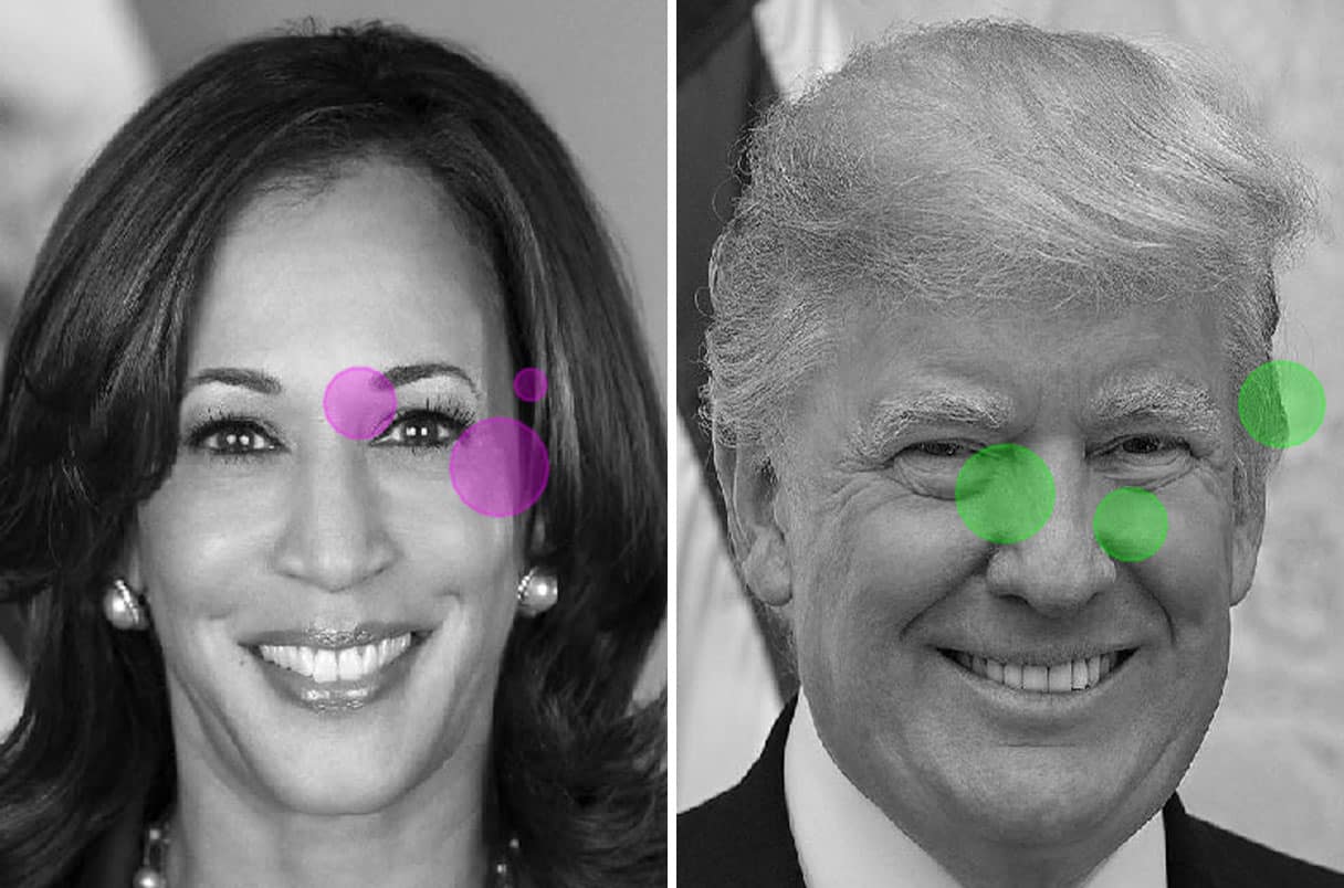 Среди прочего макакам показывали фотографии Камалы Харрис и Дональда Трампа — кандидатов на выборах президента США 2024 года / © Creative Commons, adapted by Yaoguang Jian