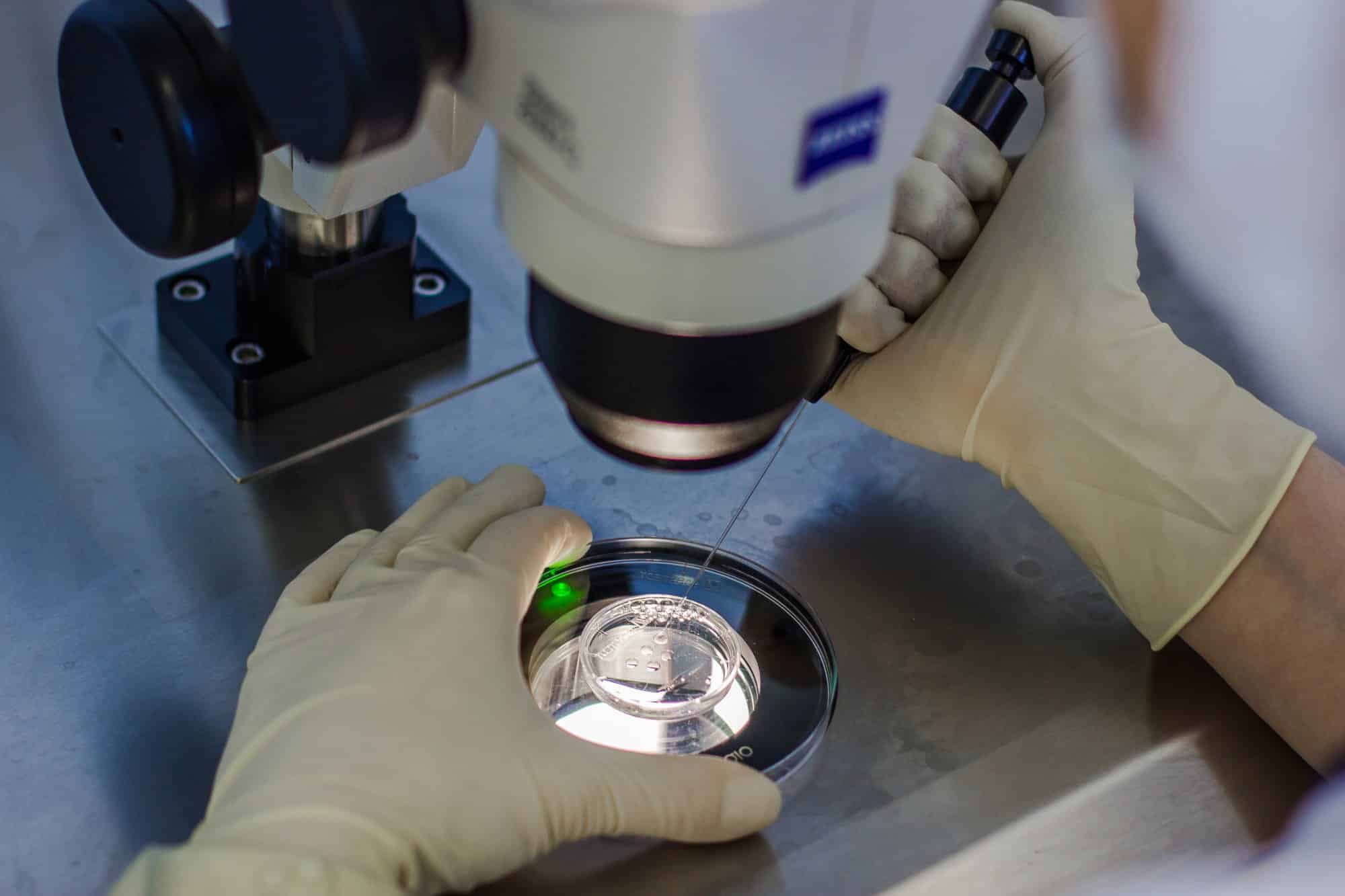 Дети, которые рождаются после применения вспомогательных репродуктивных технологий, сильнее подвержены серьезным порокам сердца / © stock.adobe.com