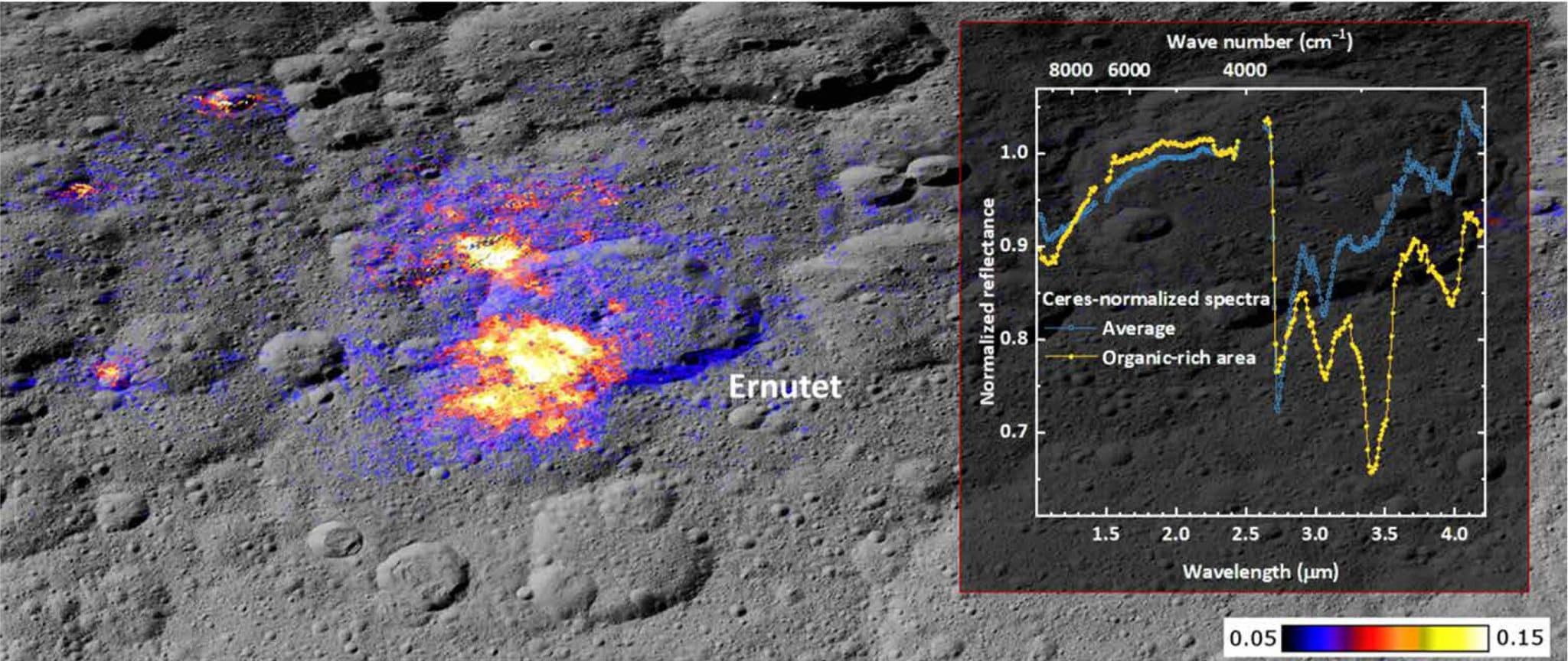 Карта распределения алифатической органики на поверхности Цереры / © Science Advances (2024)