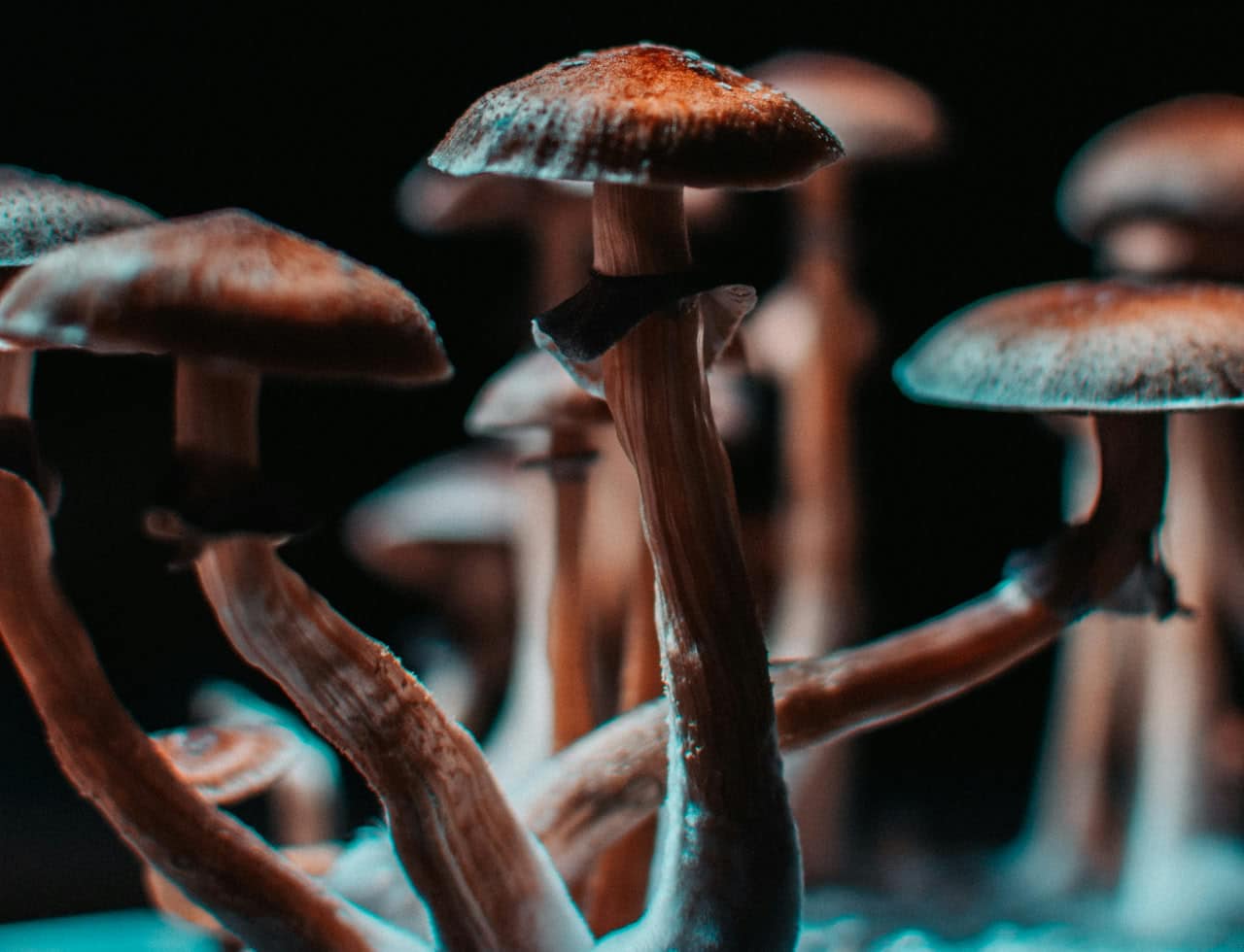 © Marco Allegretti, unsplash.com