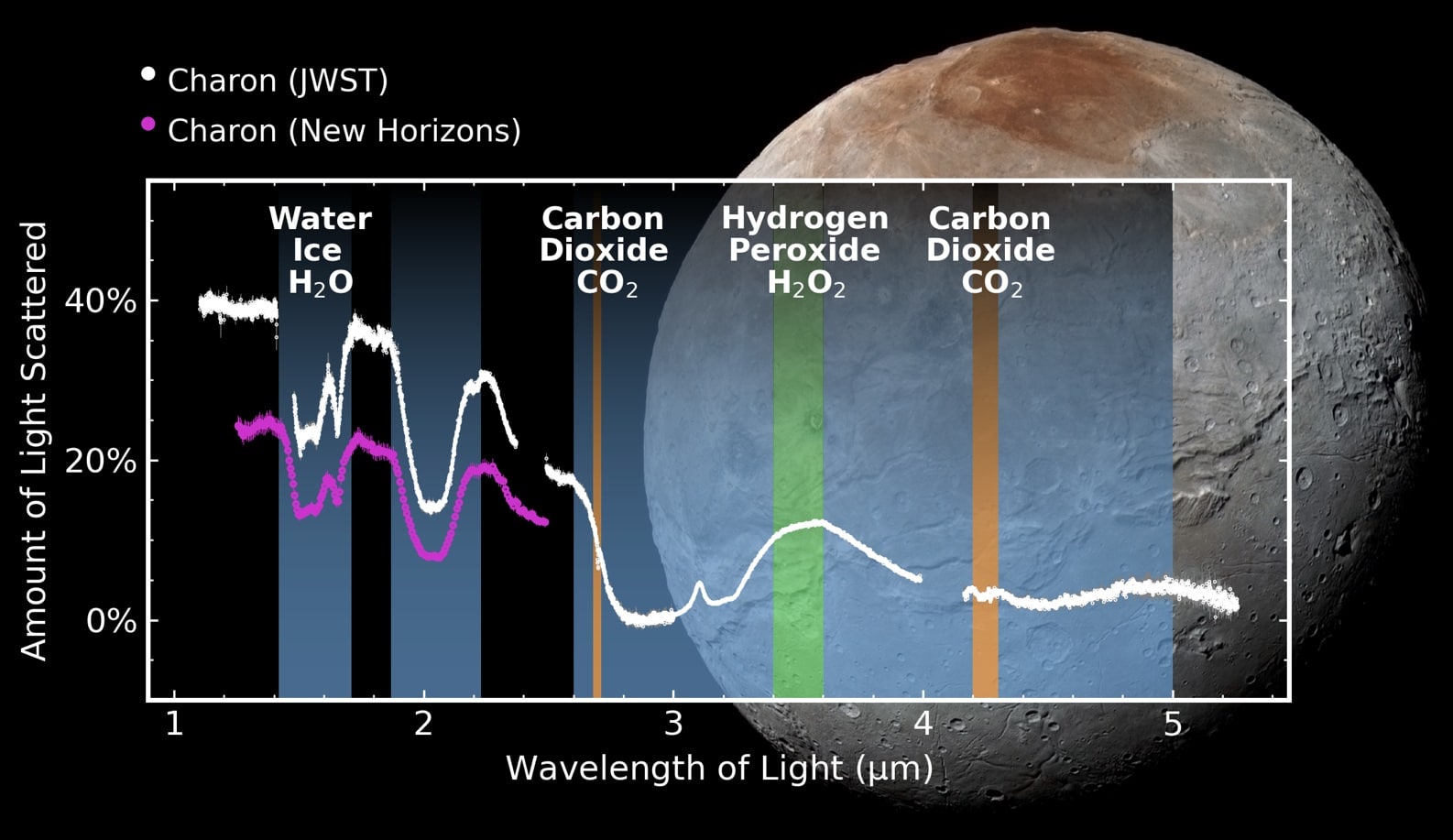 Ученые обнаружили на поверхности Харона CO2 и H2O2 / © Silvia Protopapa (SwRI), Ian Wong (STScl)