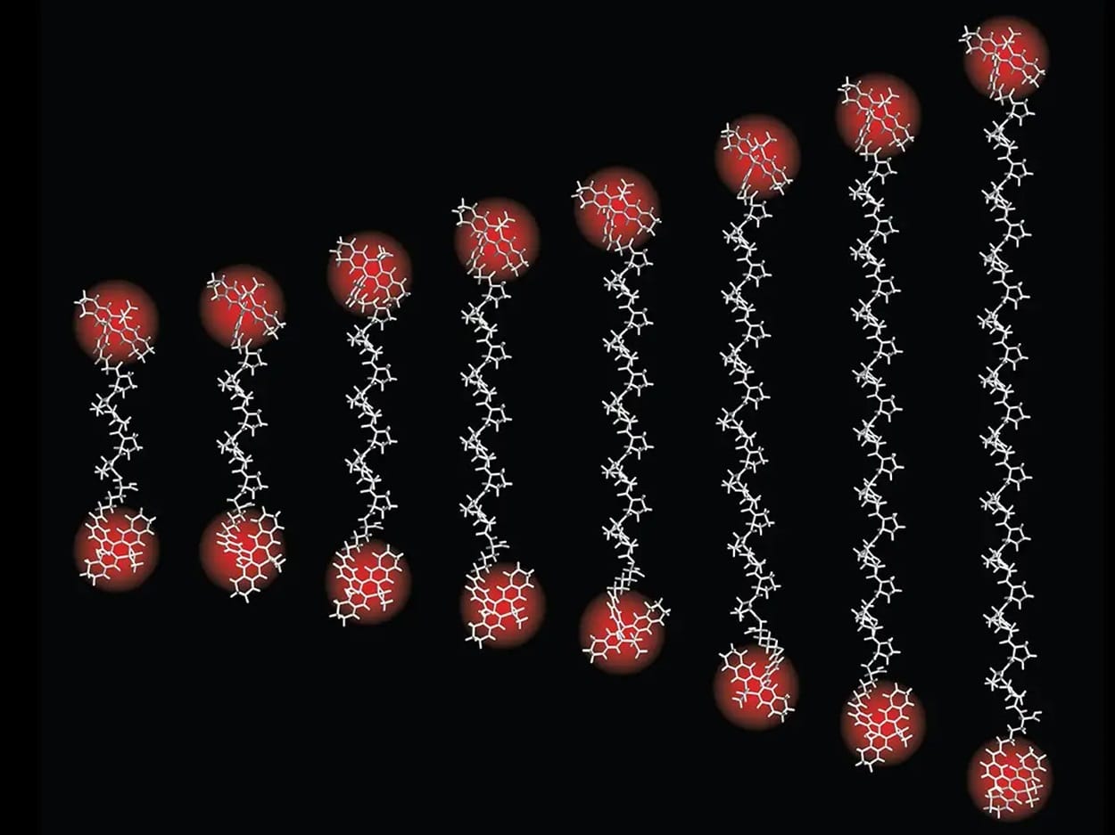 Команда немецких физиков создала внутримолекулярную «линейку» MINFLUX, способную измерять расстояние внутри белков в диапазоне от 0,1 нанометра до 10 нанометров / © Max Planck Institute for Multidisciplinary Sciences, Steffen Sahl
