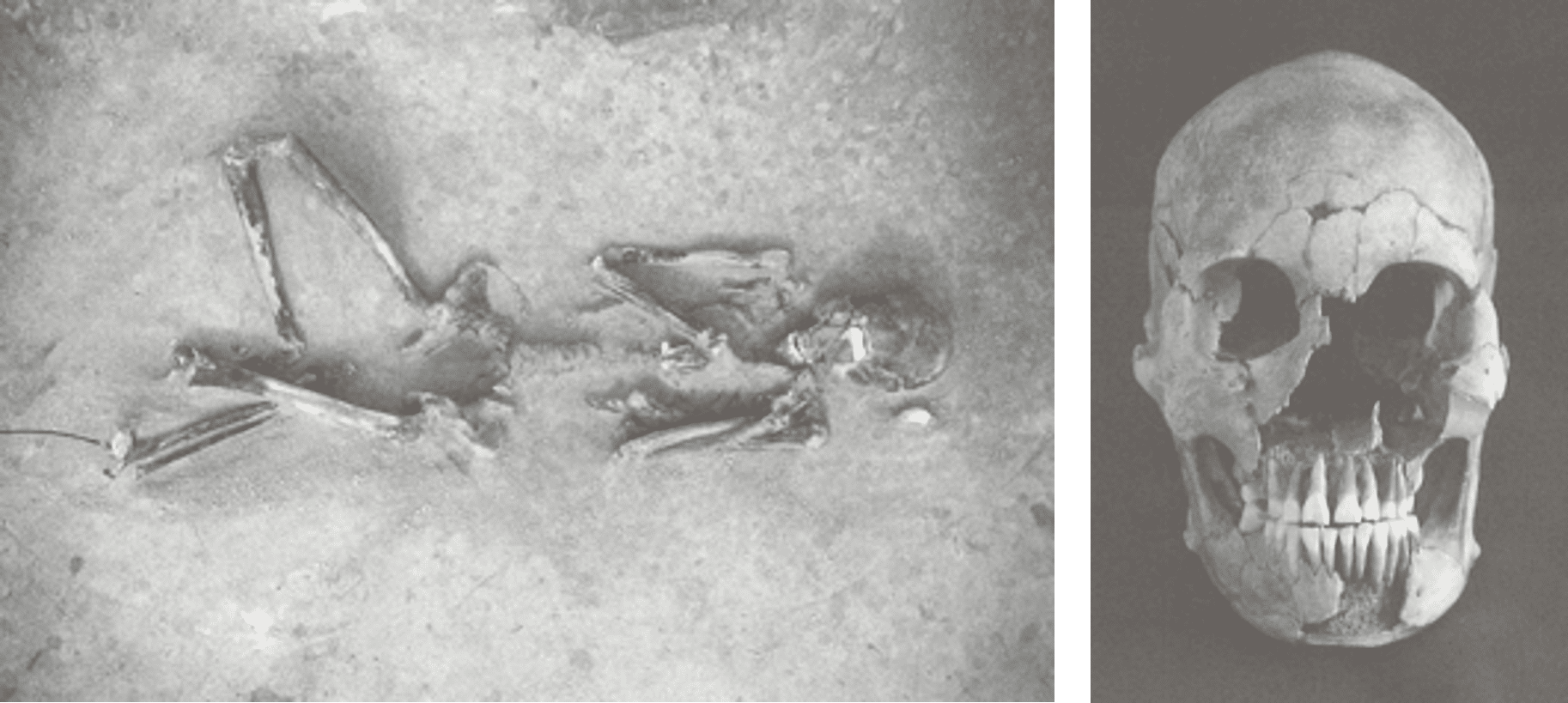 Останки человека эпохи Яёй возрастом примерно 2300 лет, чью ДНК анализировали в статье / © Kim et al 2024