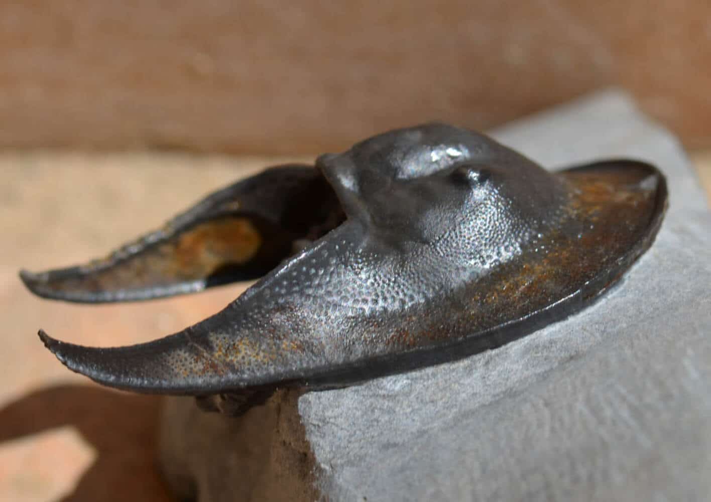 Трилобит Harpes sp. / © palaeocast.com, Peter Cameron