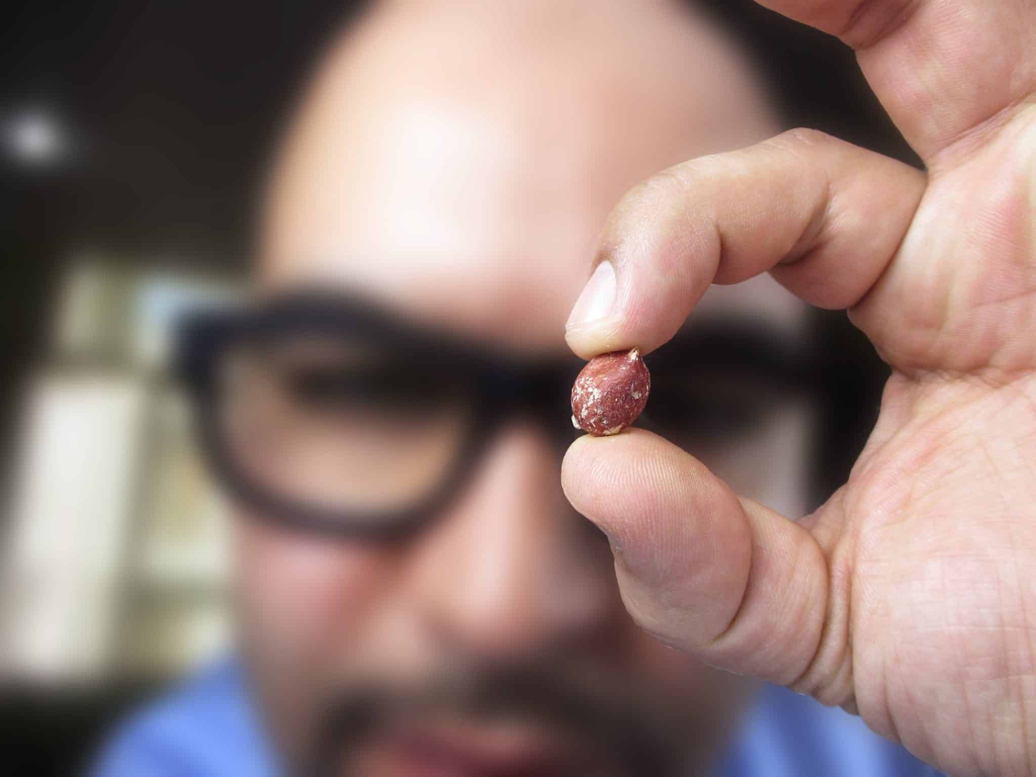 На смену человеческому обонянию приходит «антенный нос» / © PxHere, Canon IXUS 230 HS