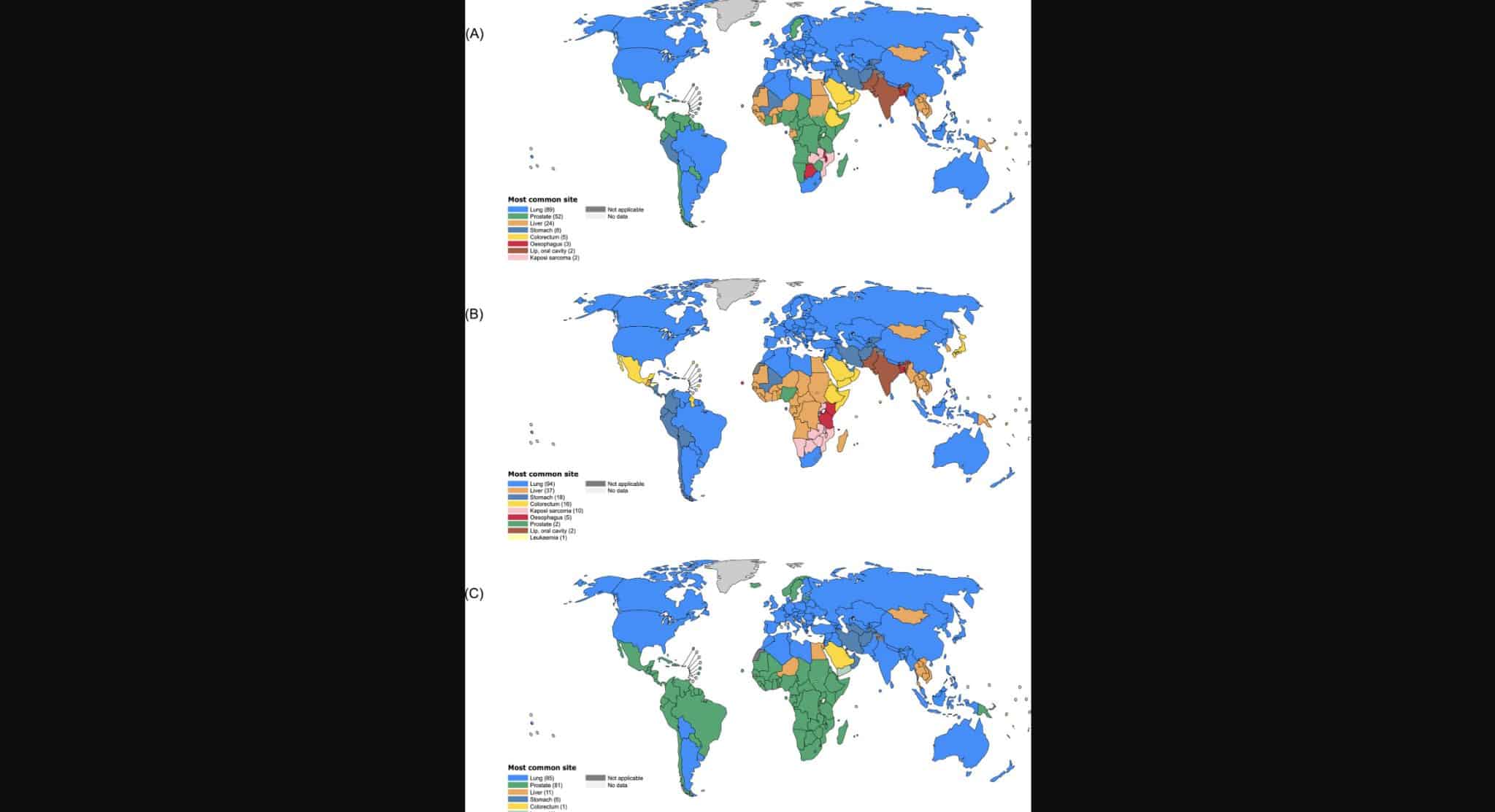 К 2050 году смертность от рака в странах с низким индексом человеческого развития значительно возрастет / © JAMA Network Open (2024)