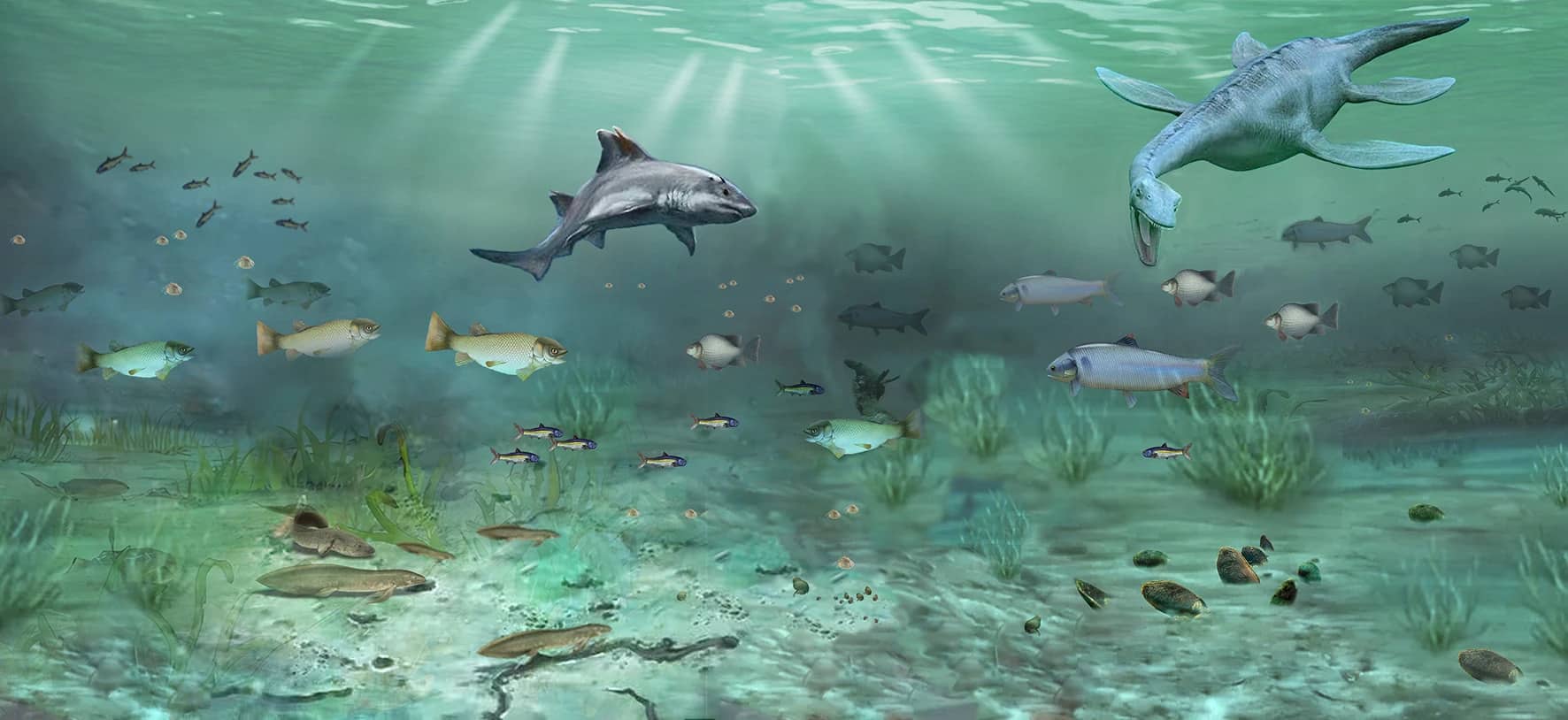 Художественная реконструкция биоты Юйчжоу / © Scientific Reports, Ting-Cong Ren et al.