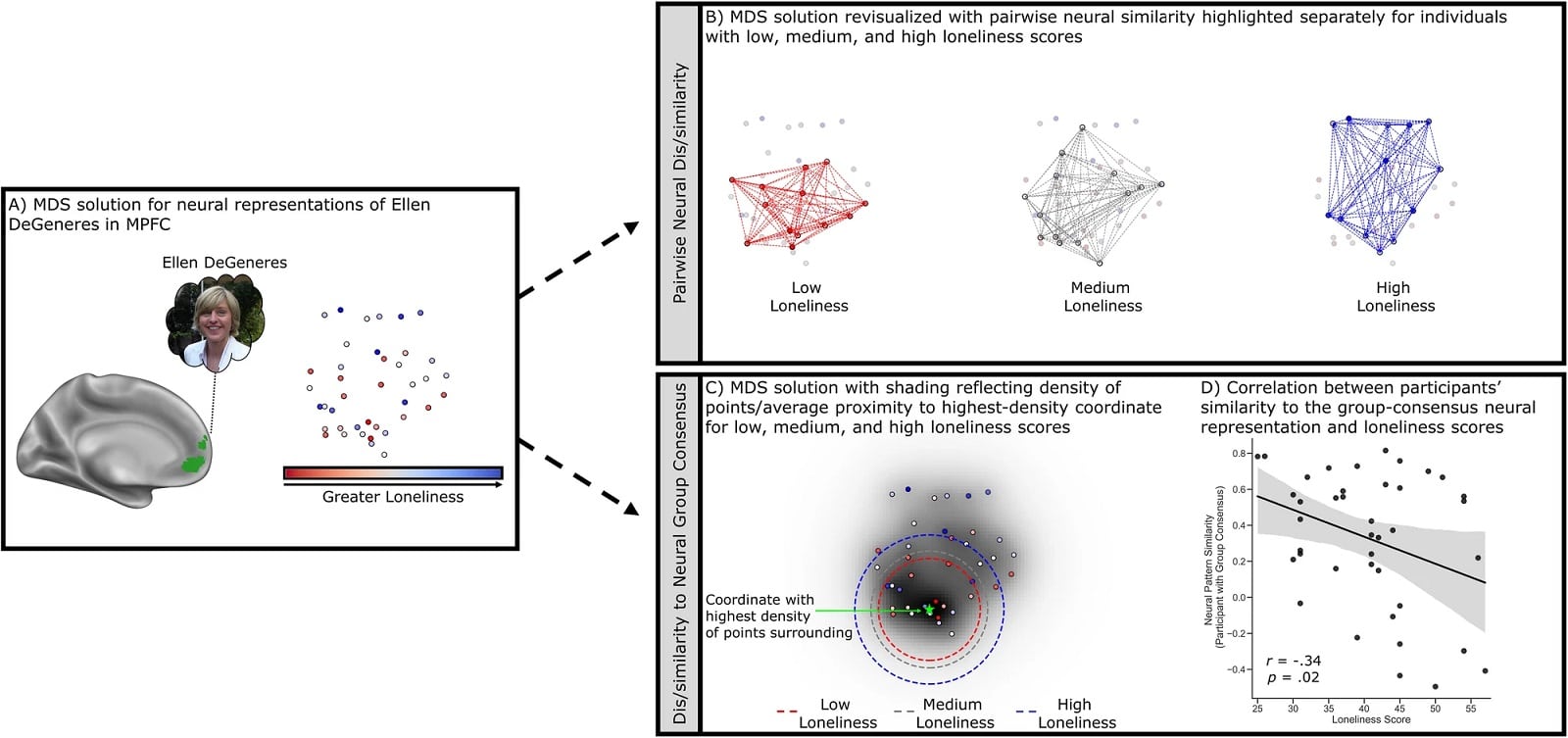 Психологи проанализировали активность головного мозга  речь одиноких людей и нашли особенность, отличающую их от неодиноких / © Timothy W. Broom et al., Communications Psychology