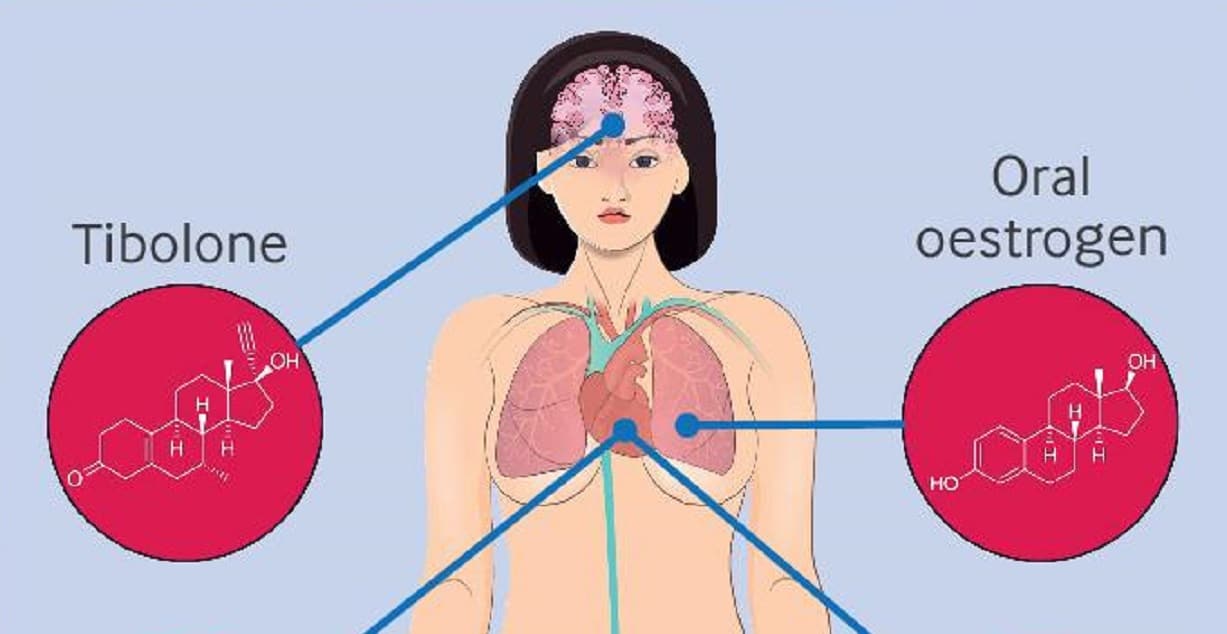 Некоторые препараты для заместительной гормональной терапии повысили риск болезней сердца / © Therese Johansson et al., British Medical Journal